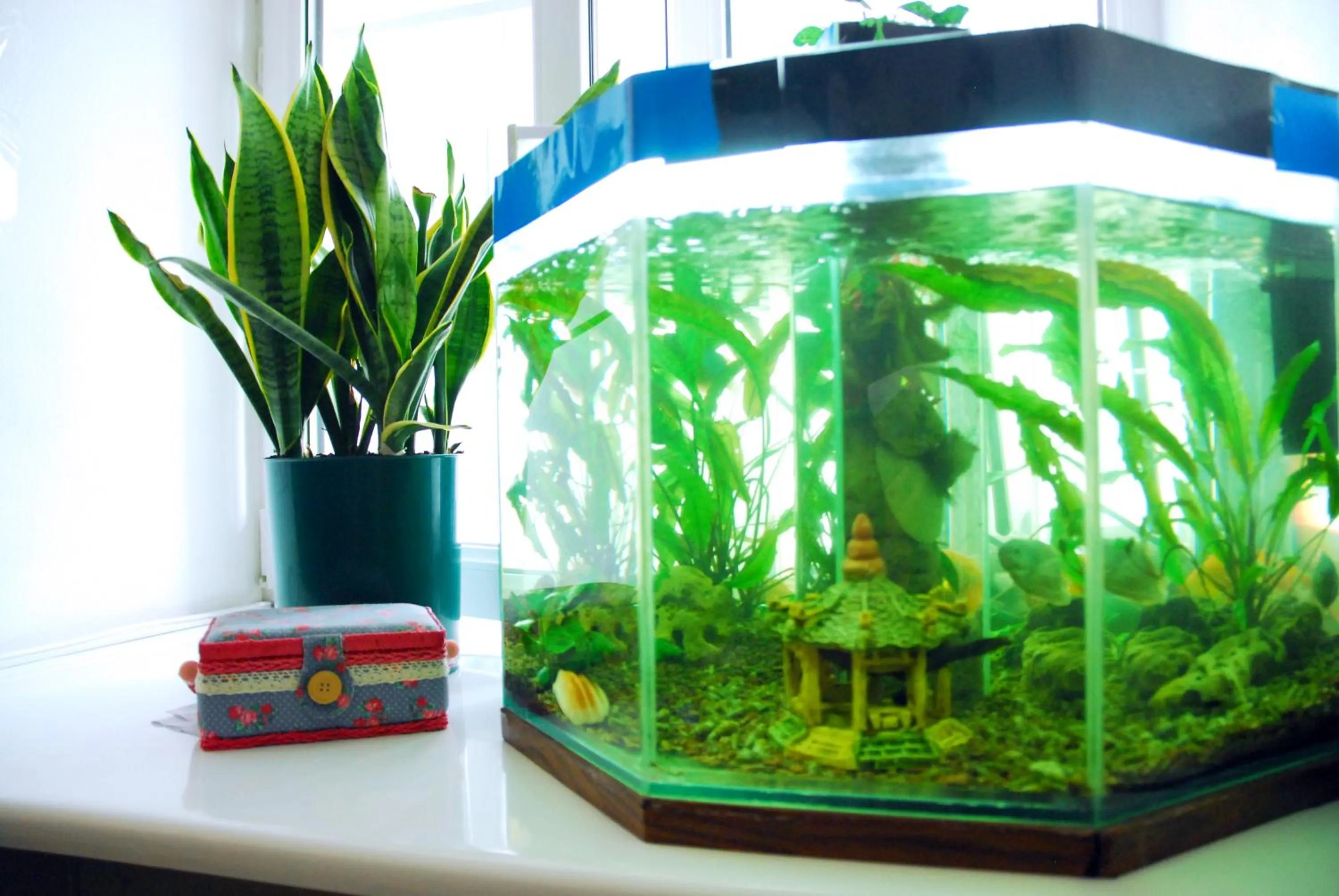 Lobby or reception in Maison Blanche Kyiv city center