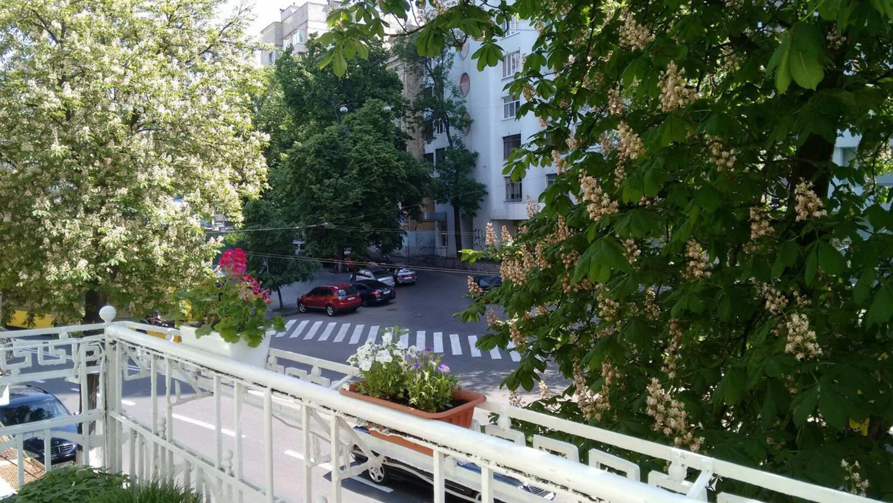 Balcony/Terrace in Maison Blanche Kyiv city center