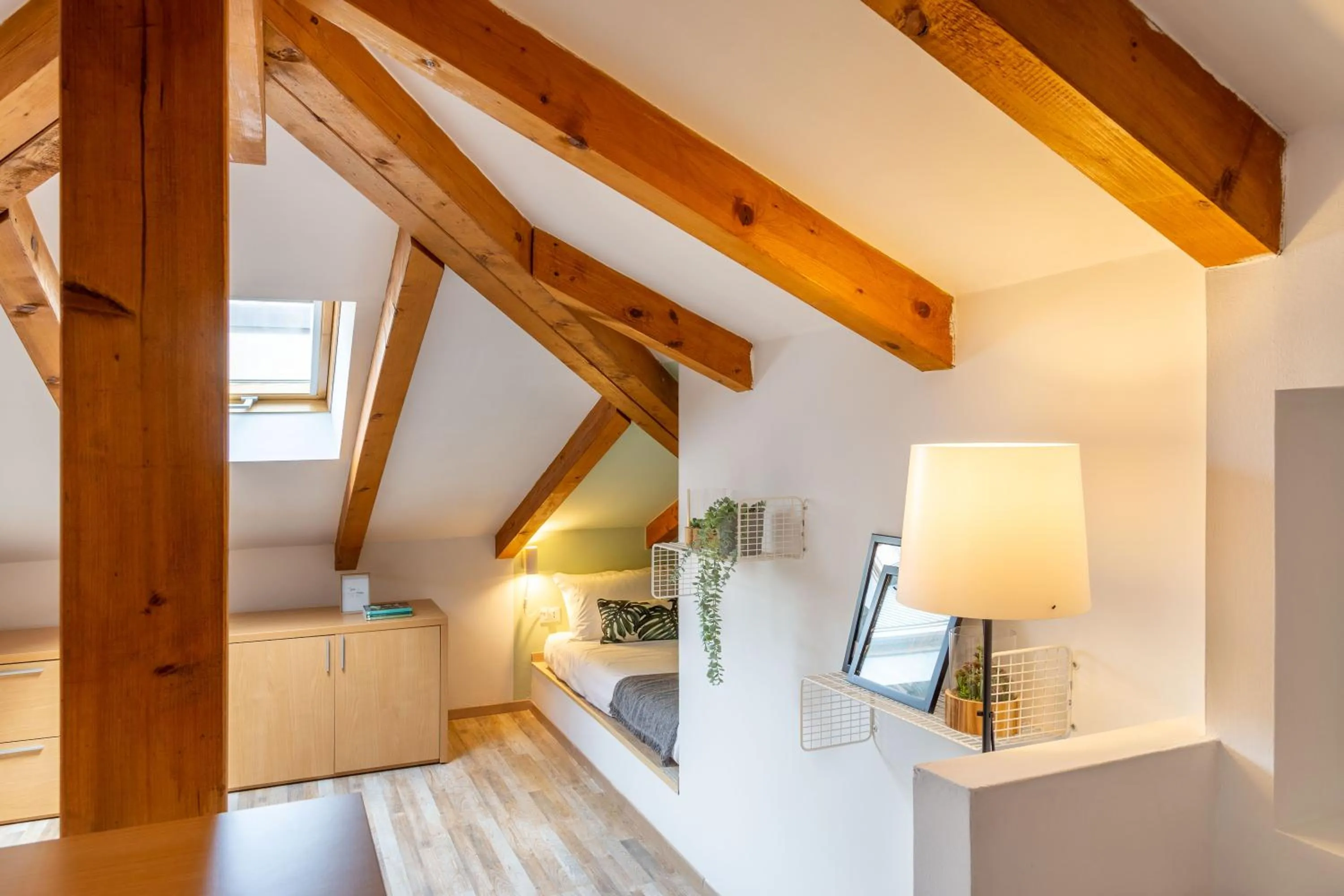 Luxury 350 Sq Mt flat with Terrace central Trieste