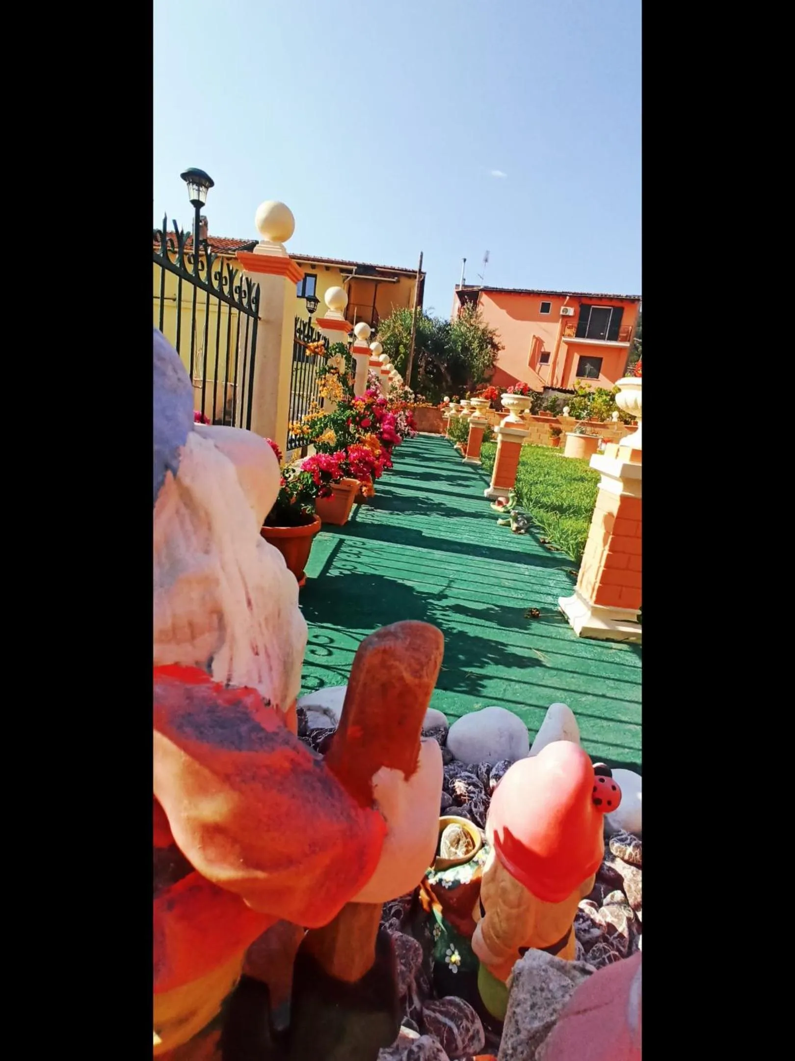 Garden in Corfu Sunflower Apartments