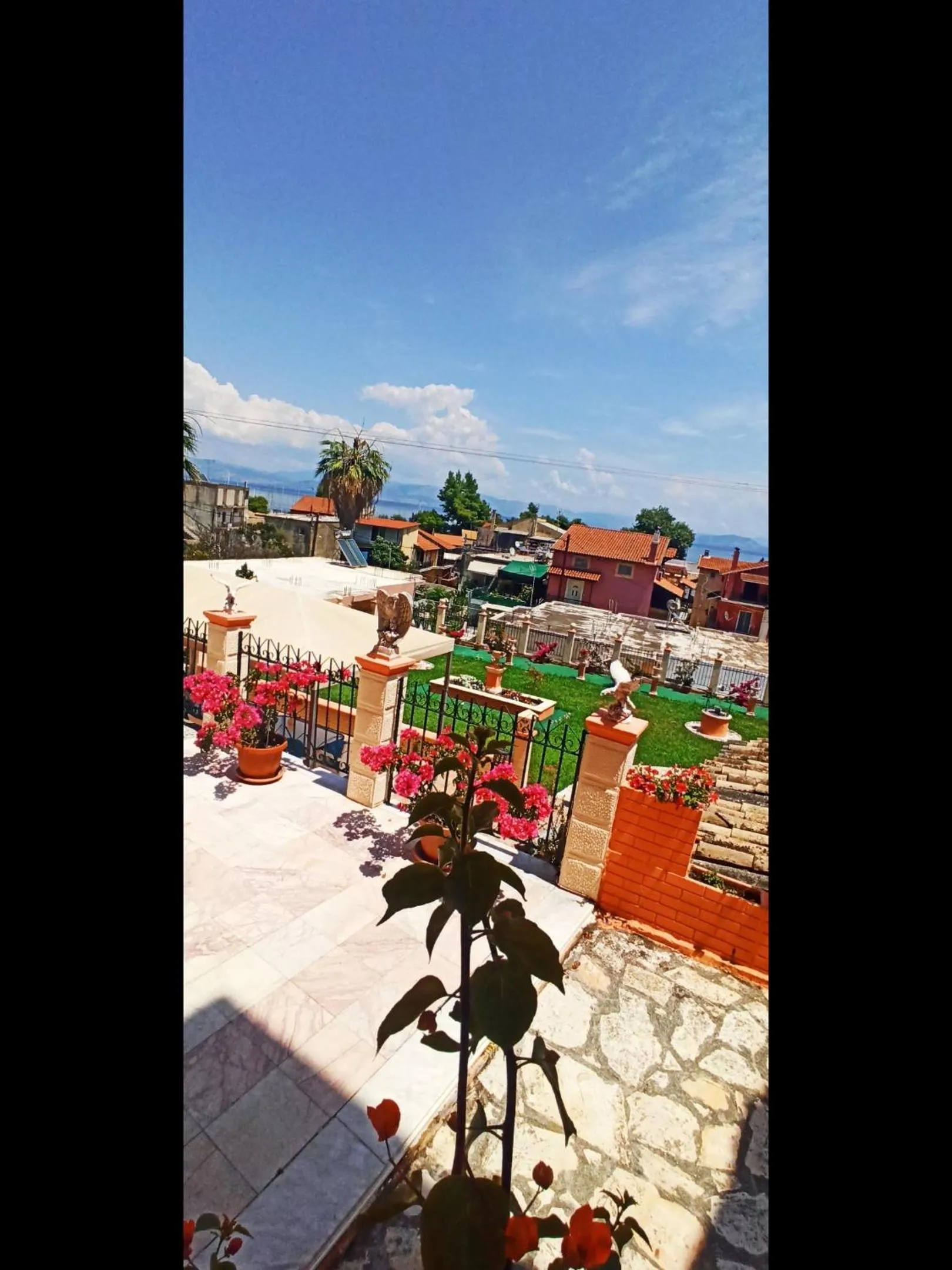 Garden in Corfu Sunflower Apartments