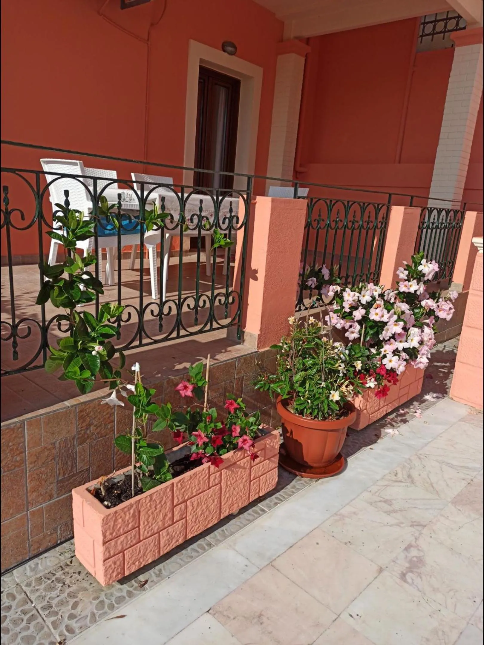 Balcony/Terrace in Corfu Sunflower Apartments