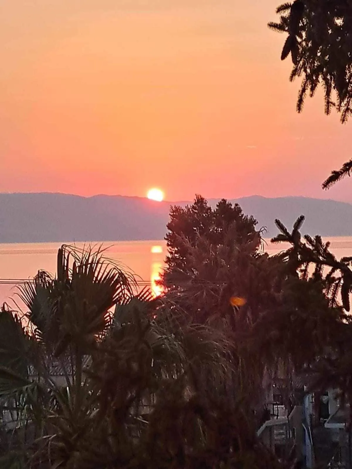 Sea view in Corfu Sunflower Apartments