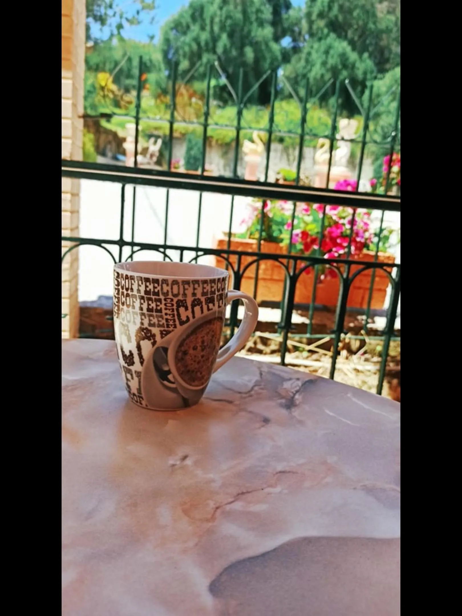 Garden in Corfu Sunflower Apartments