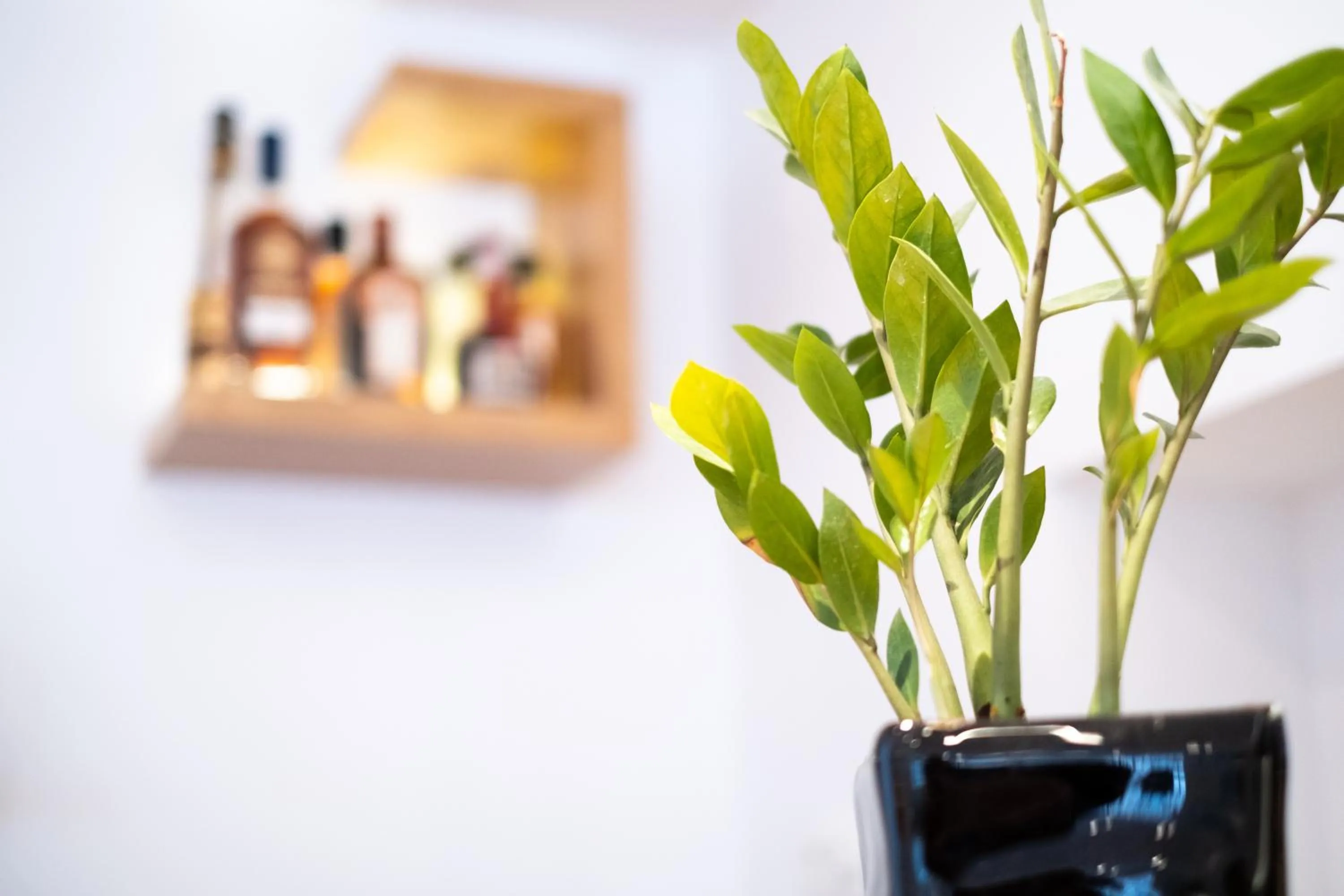 Lounge or bar in City Loft Hotel