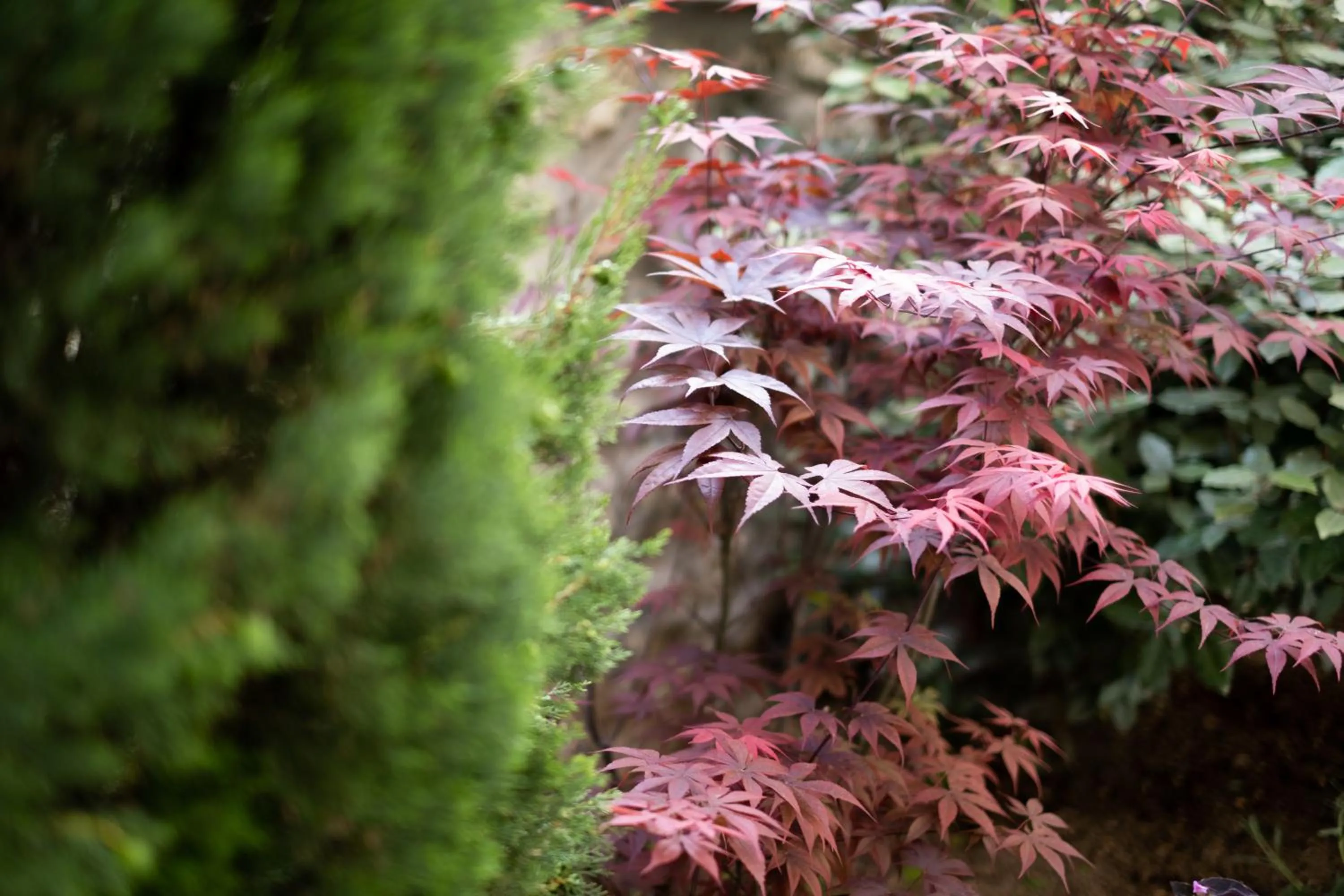 Garden in City Loft Hotel