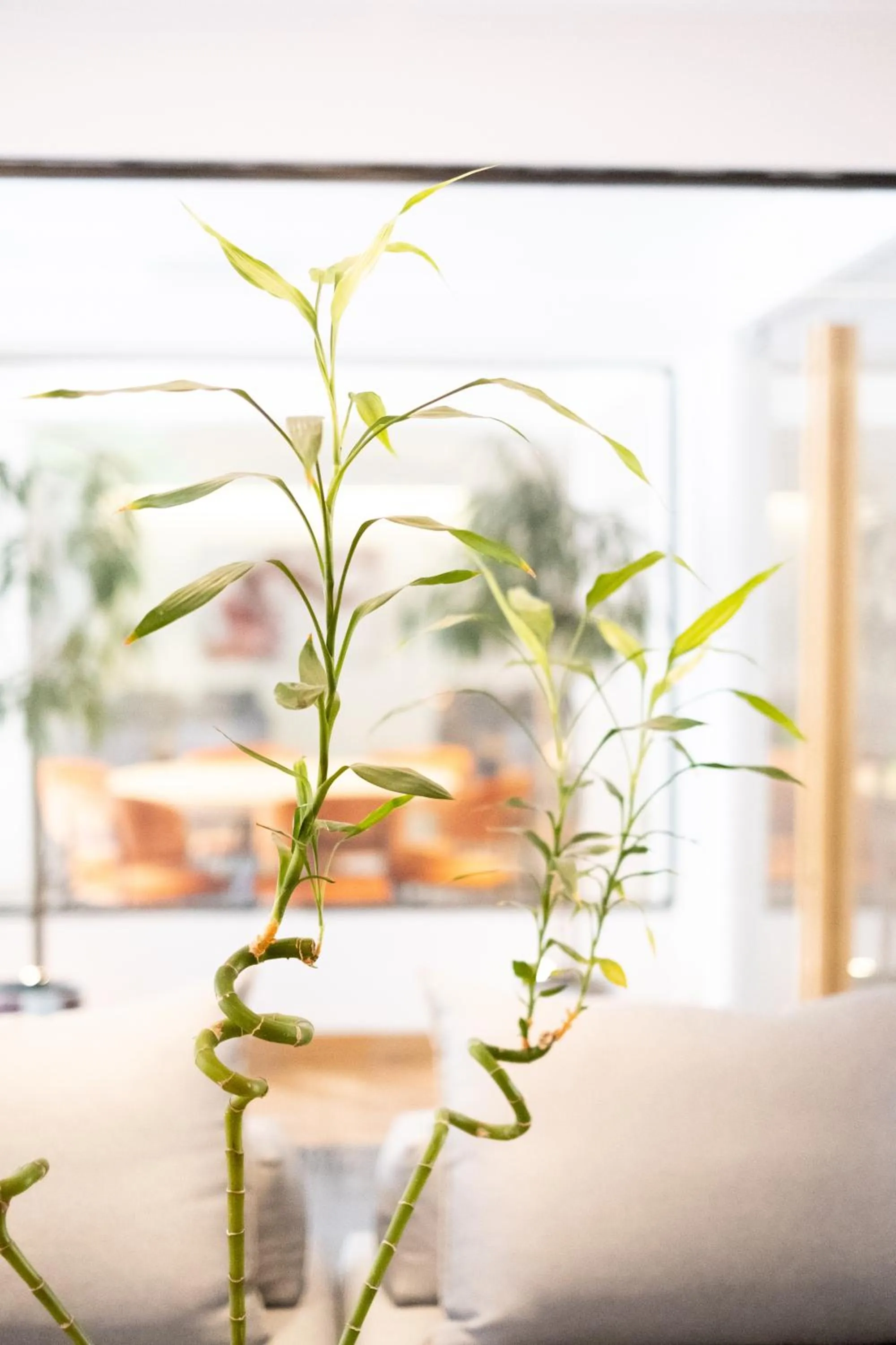 Lounge or bar in City Loft Hotel