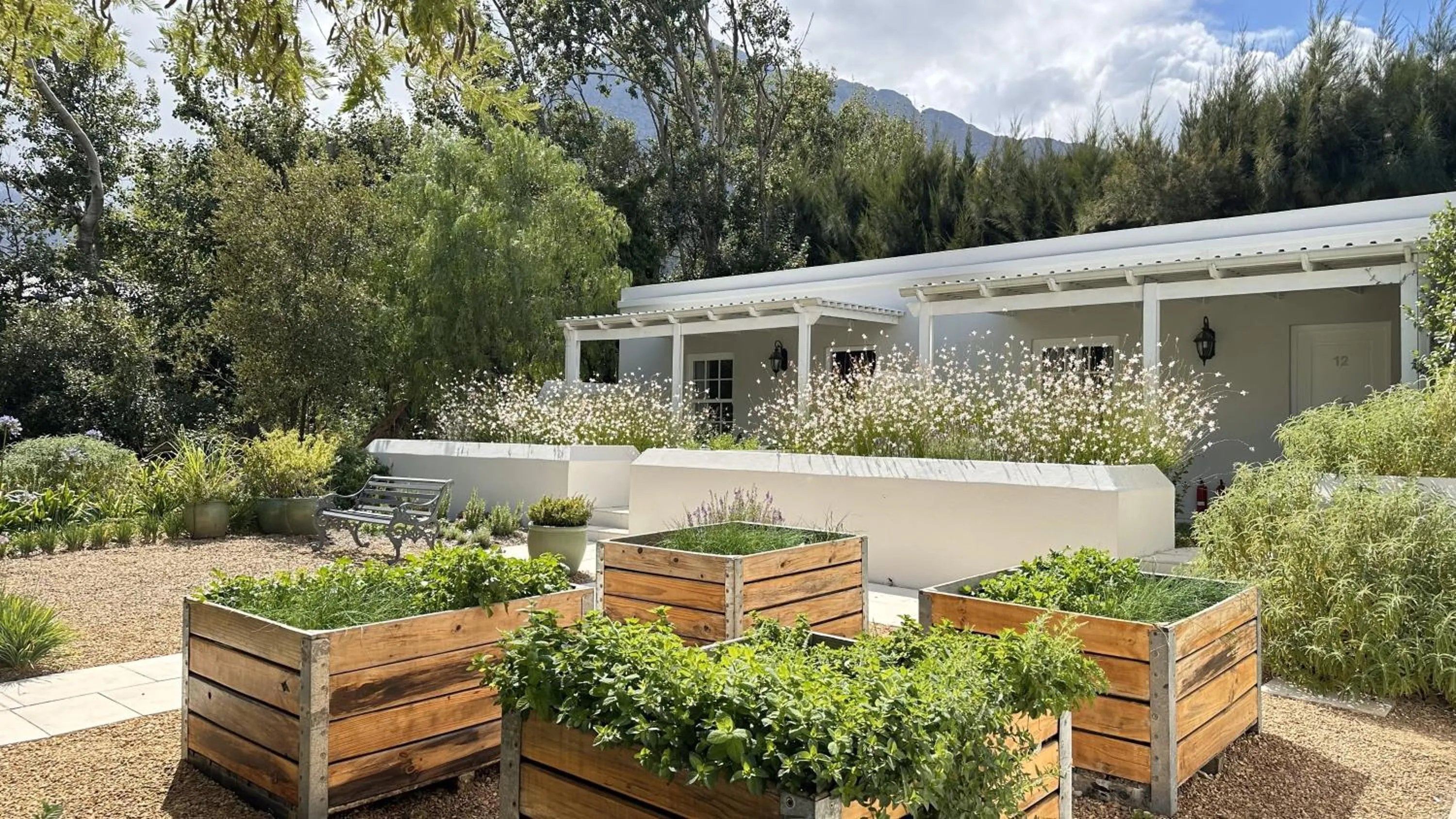 Garden in Lavender Farm Boutique Guest House