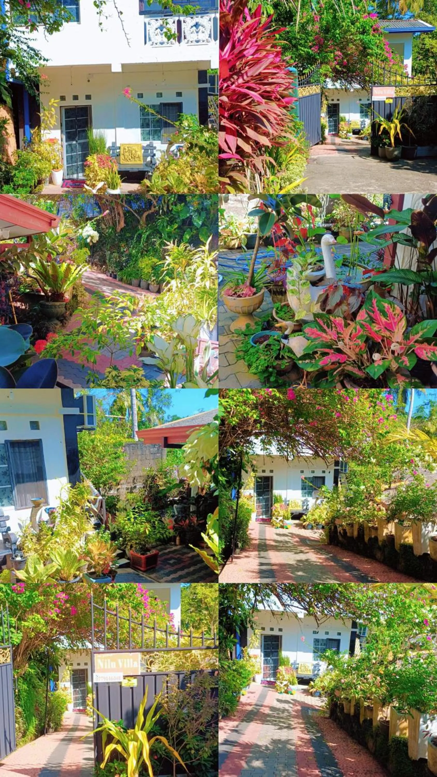 Nilu Villa
