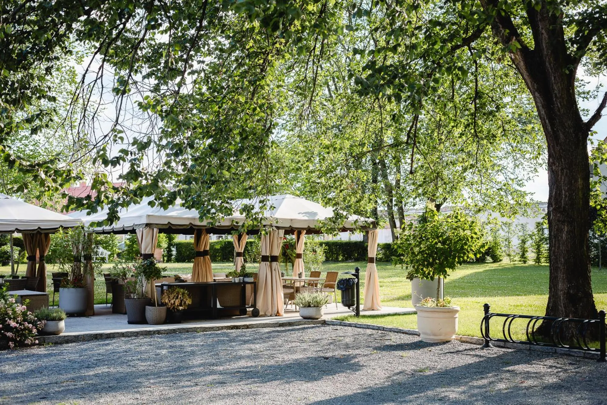 Natural landscape in Pałac Mojęcice