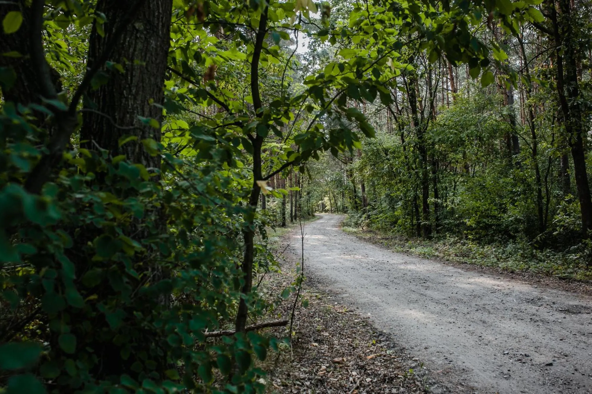 Off site in Pałac Mojęcice