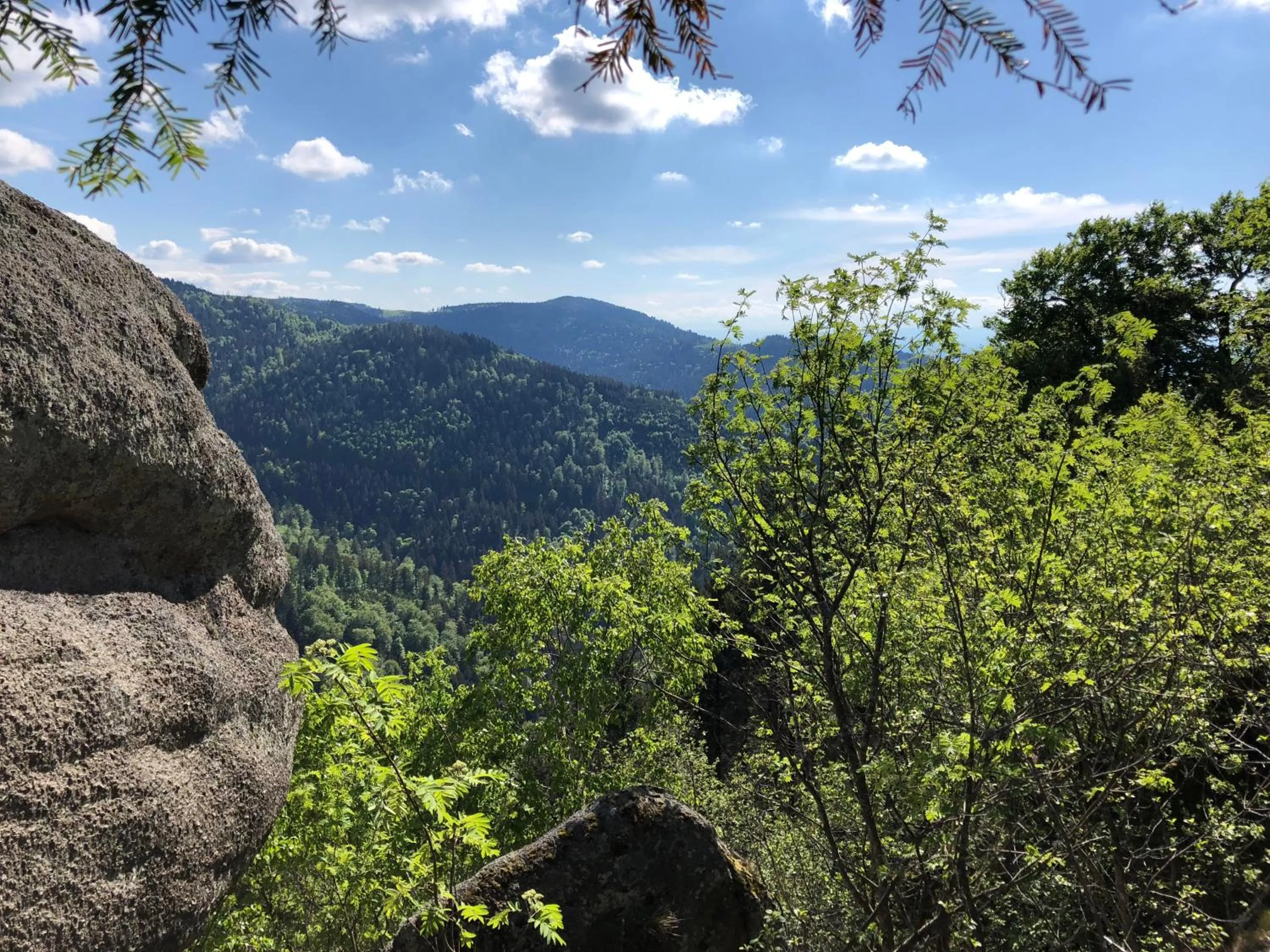 Spring in Maison d hotes Coeur de Village Alsace & spa