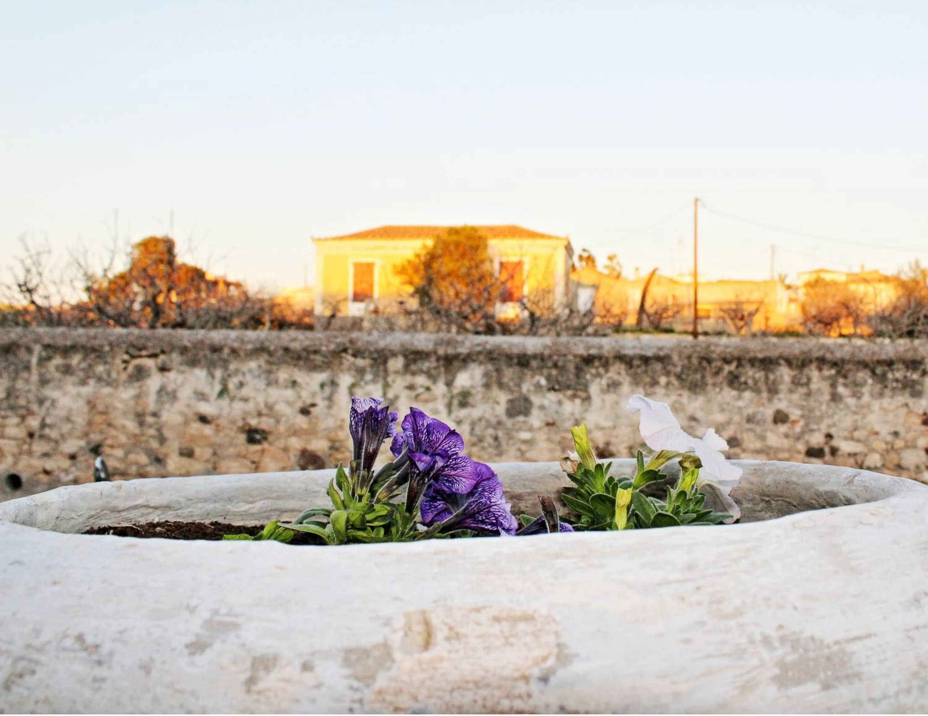 Facade/entrance in Hotel Aegina