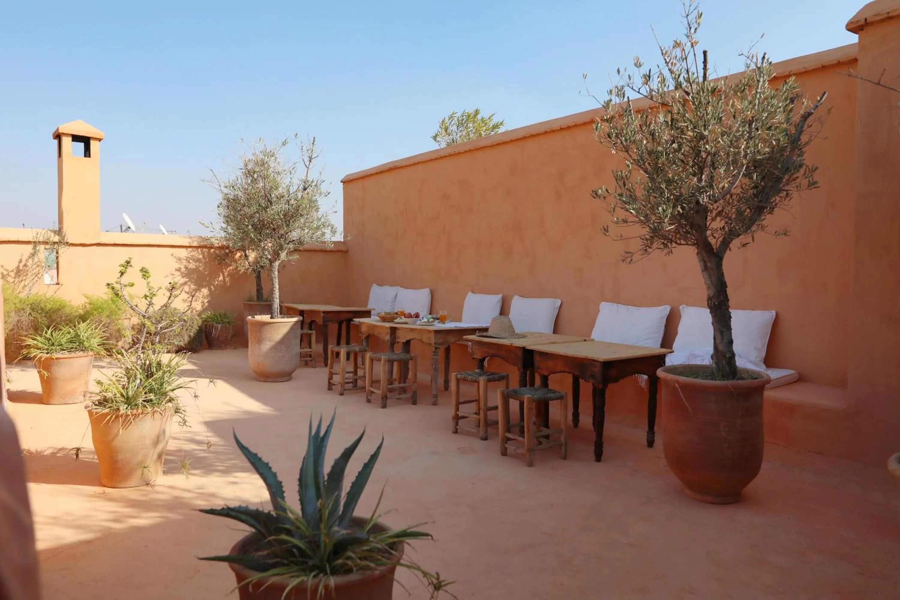 Garden in Riad Azzouna 13