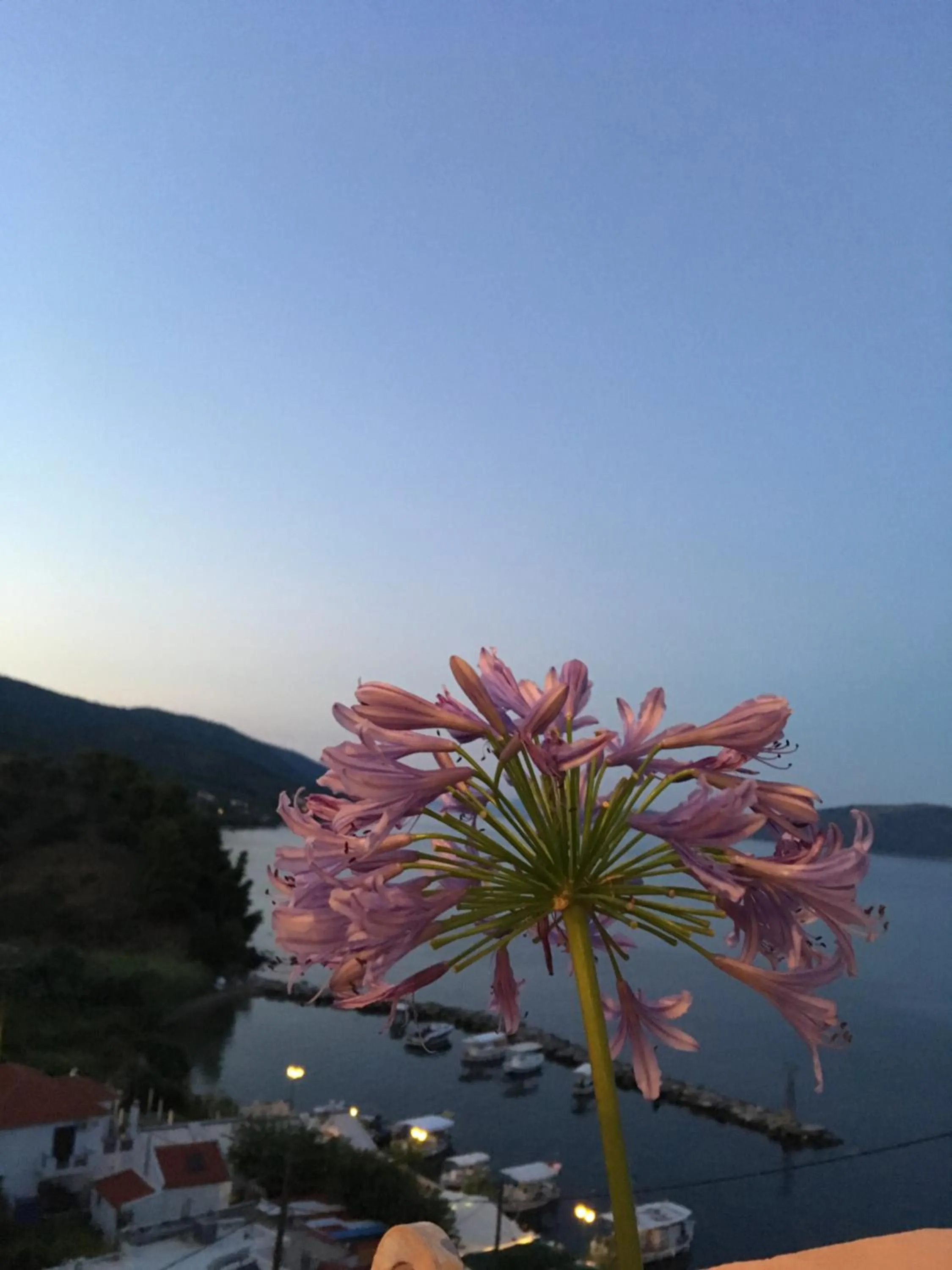 Night in Agnanti Hotel