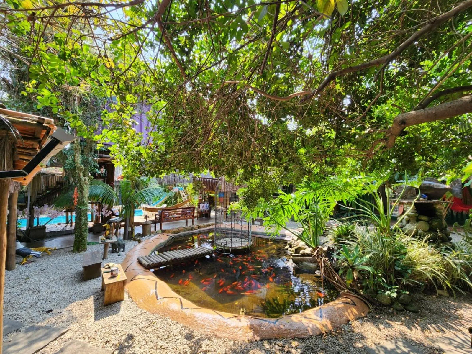 Garden view in Pousada Papaya Container