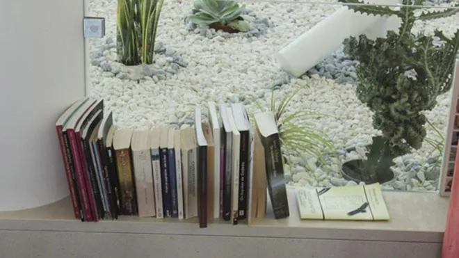 Entertainment in Hotel A Esteva