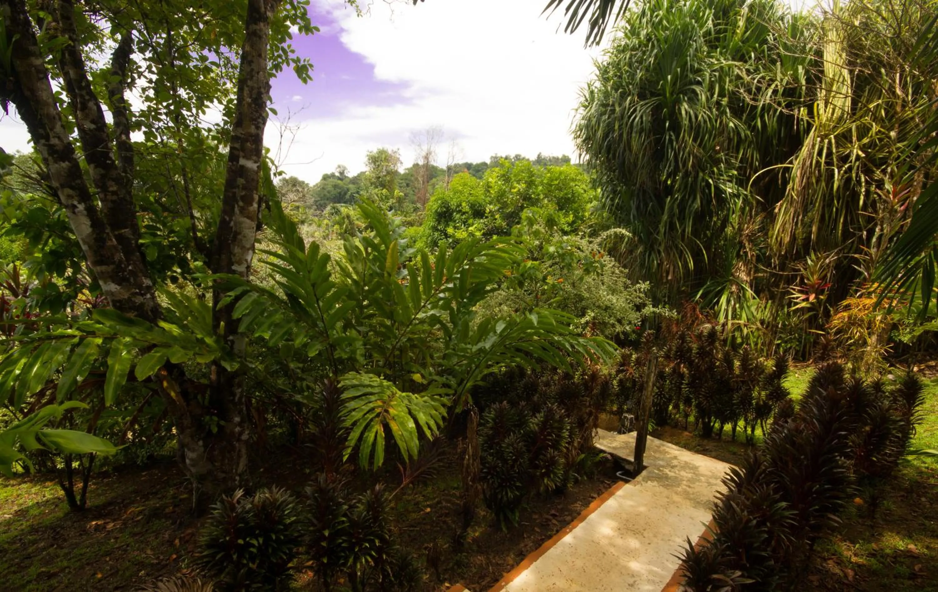 Garden in Hotel Rancho Corcovado