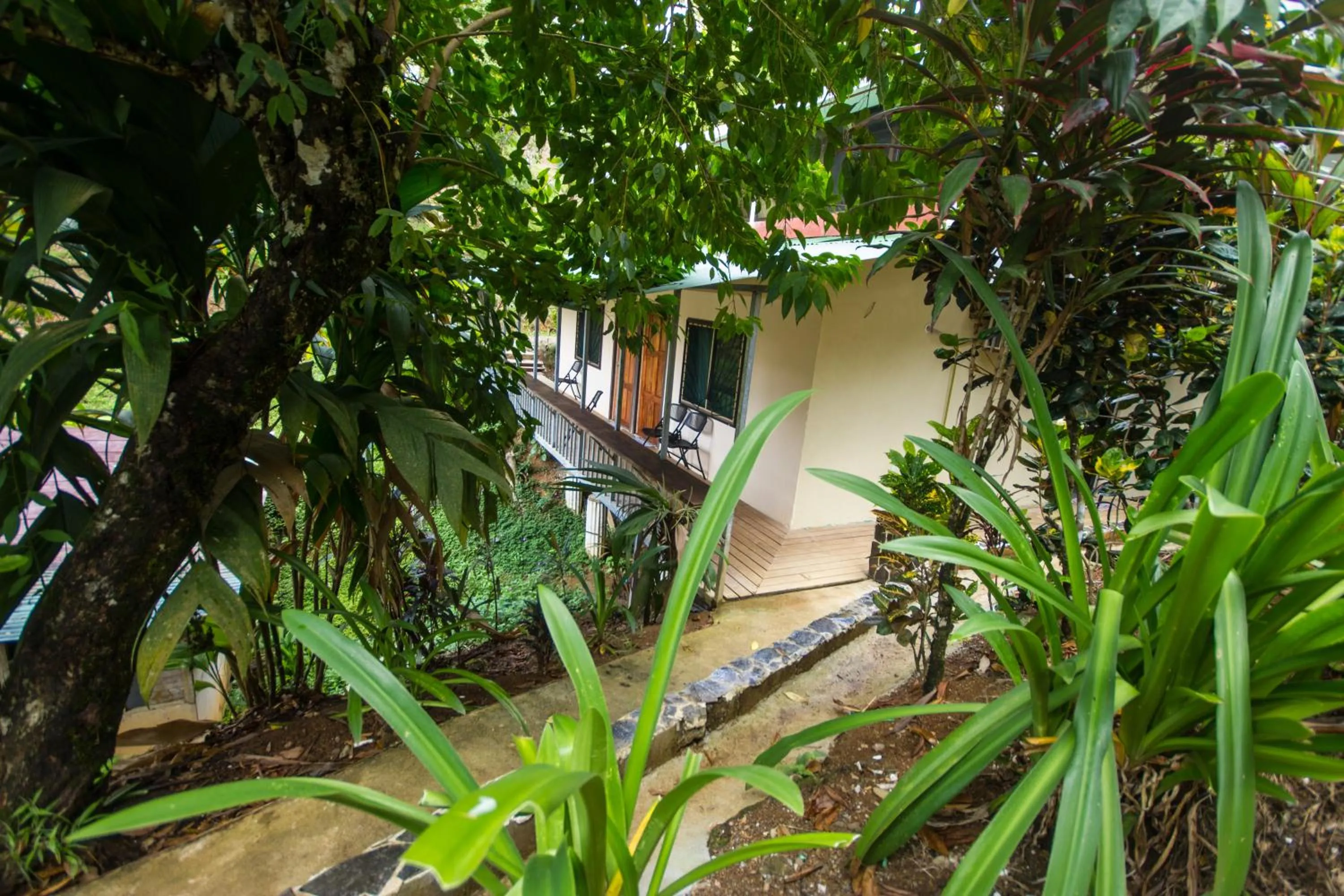 Photo of the whole room in Hotel Rancho Corcovado