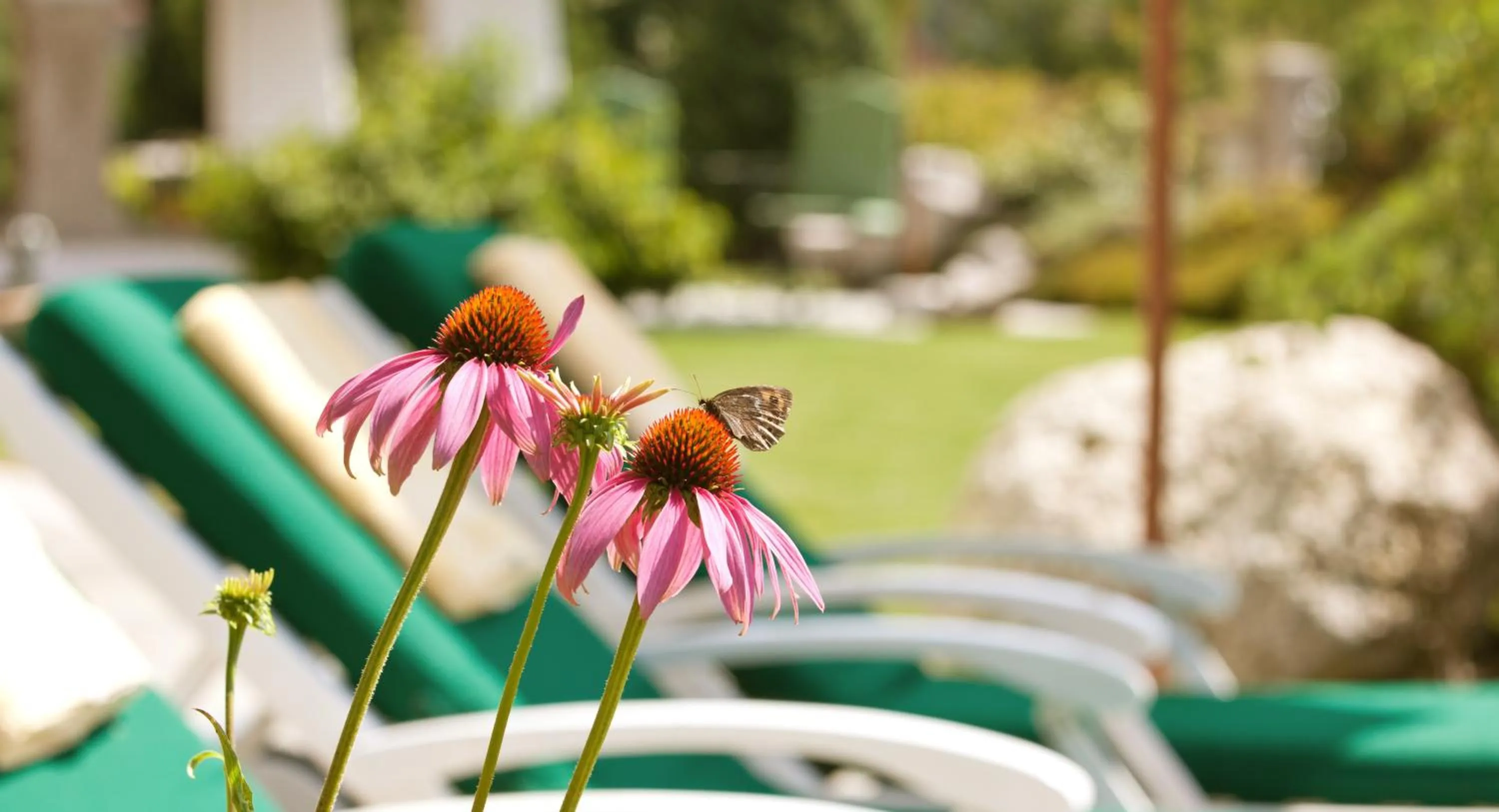 Garden in Hotel Lärchenhof Natur