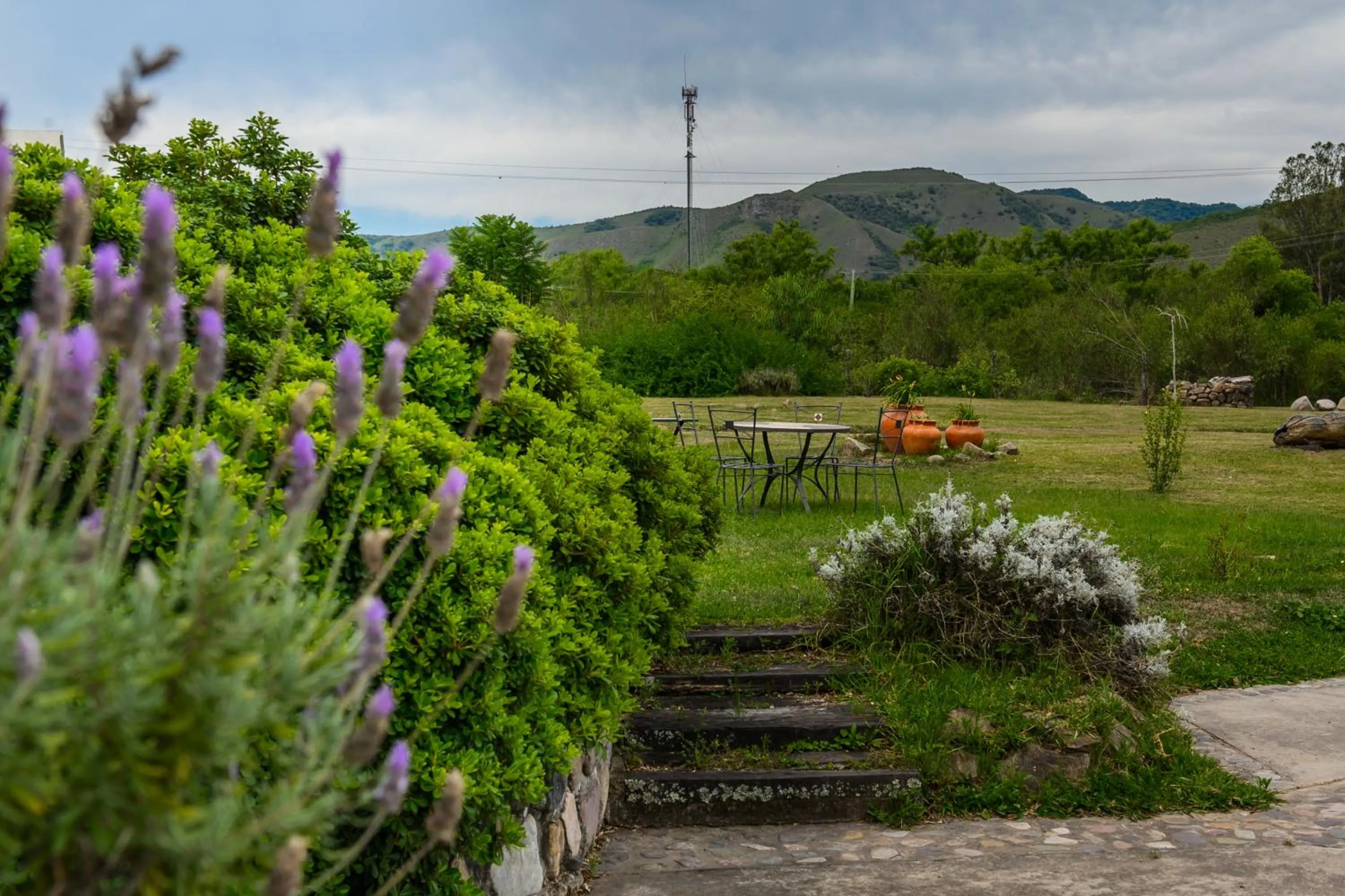 Natural landscape in Hosteria La Caldera
