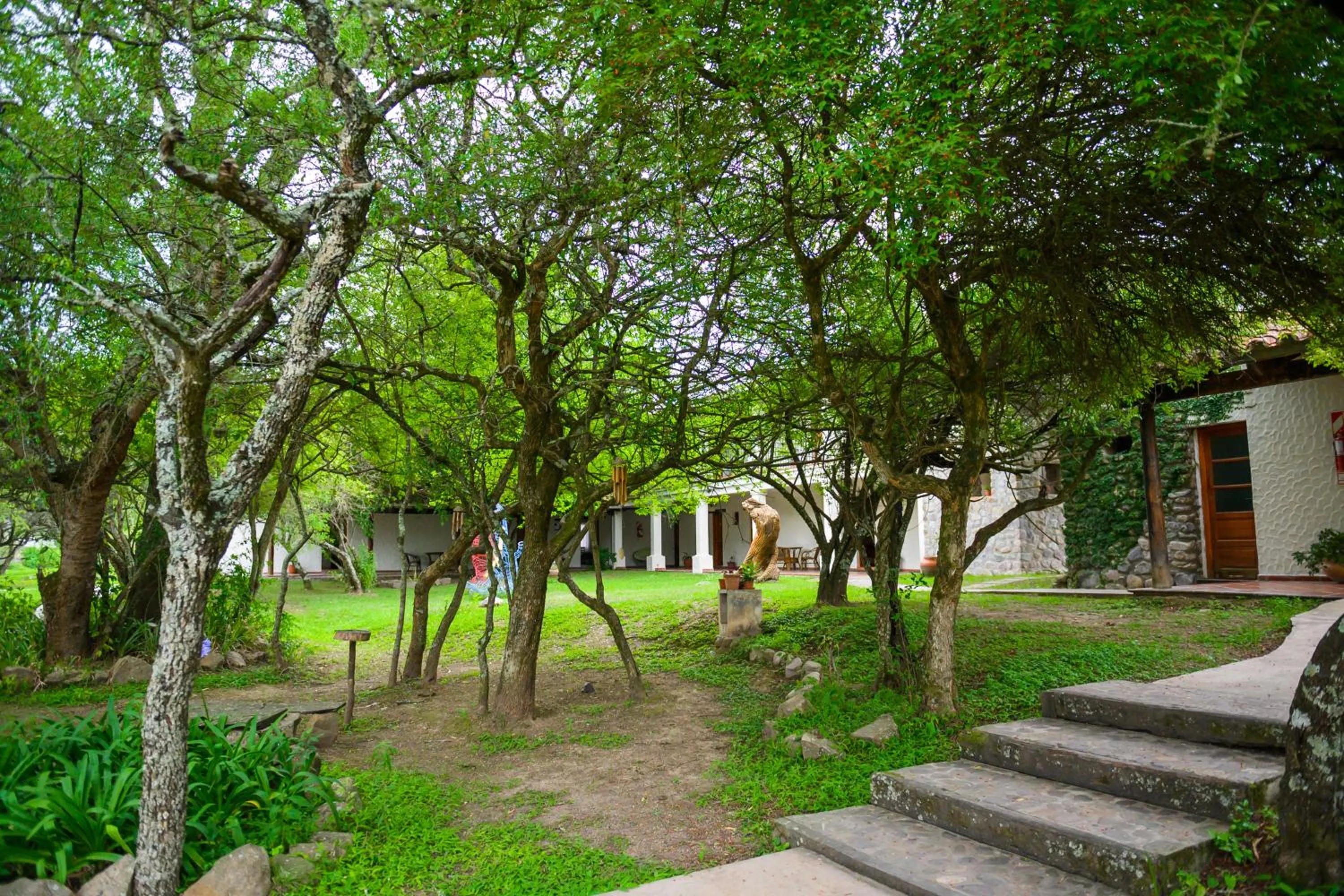 Garden in Hosteria La Caldera