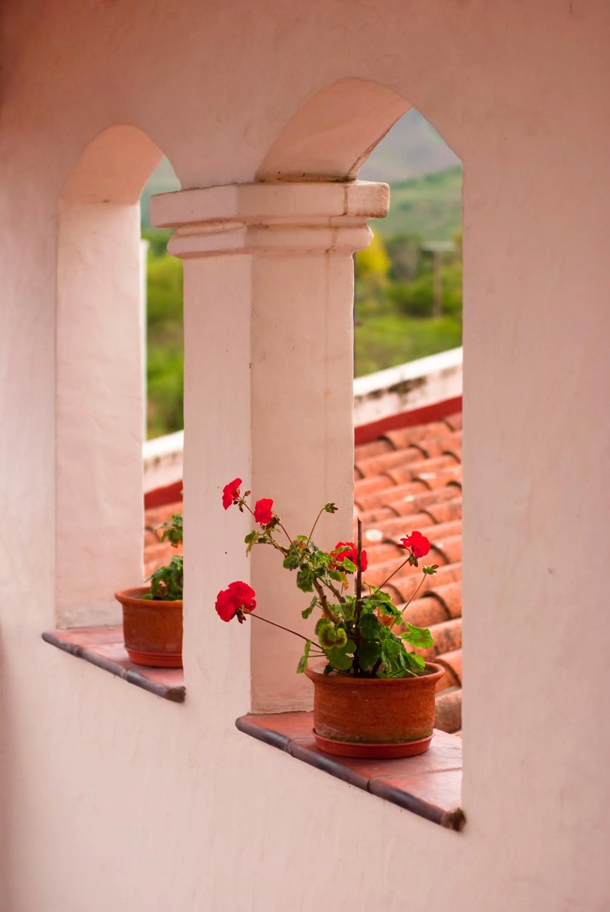 View (from property/room) in Hosteria La Caldera
