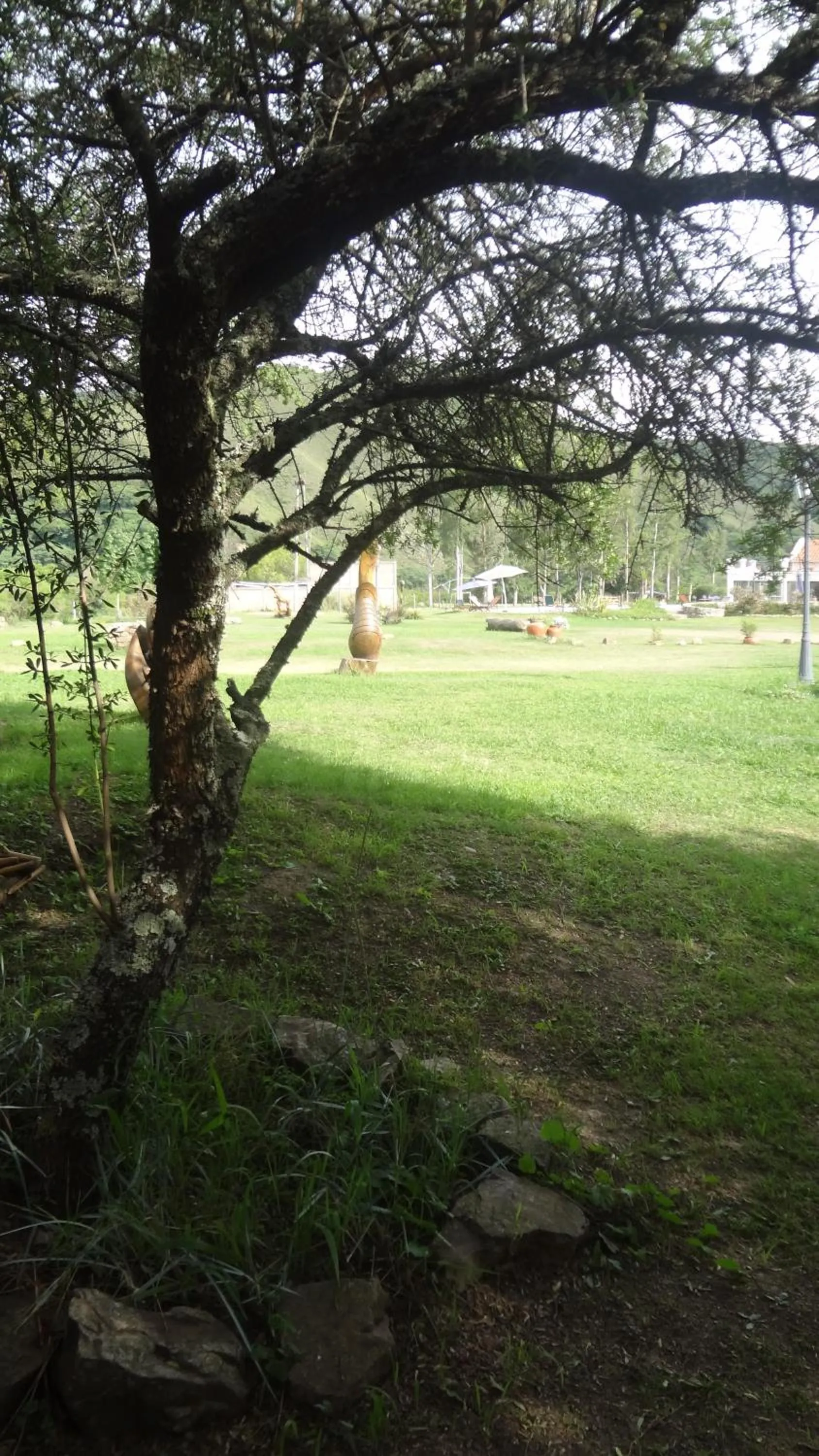 Area and facilities in Hosteria La Caldera