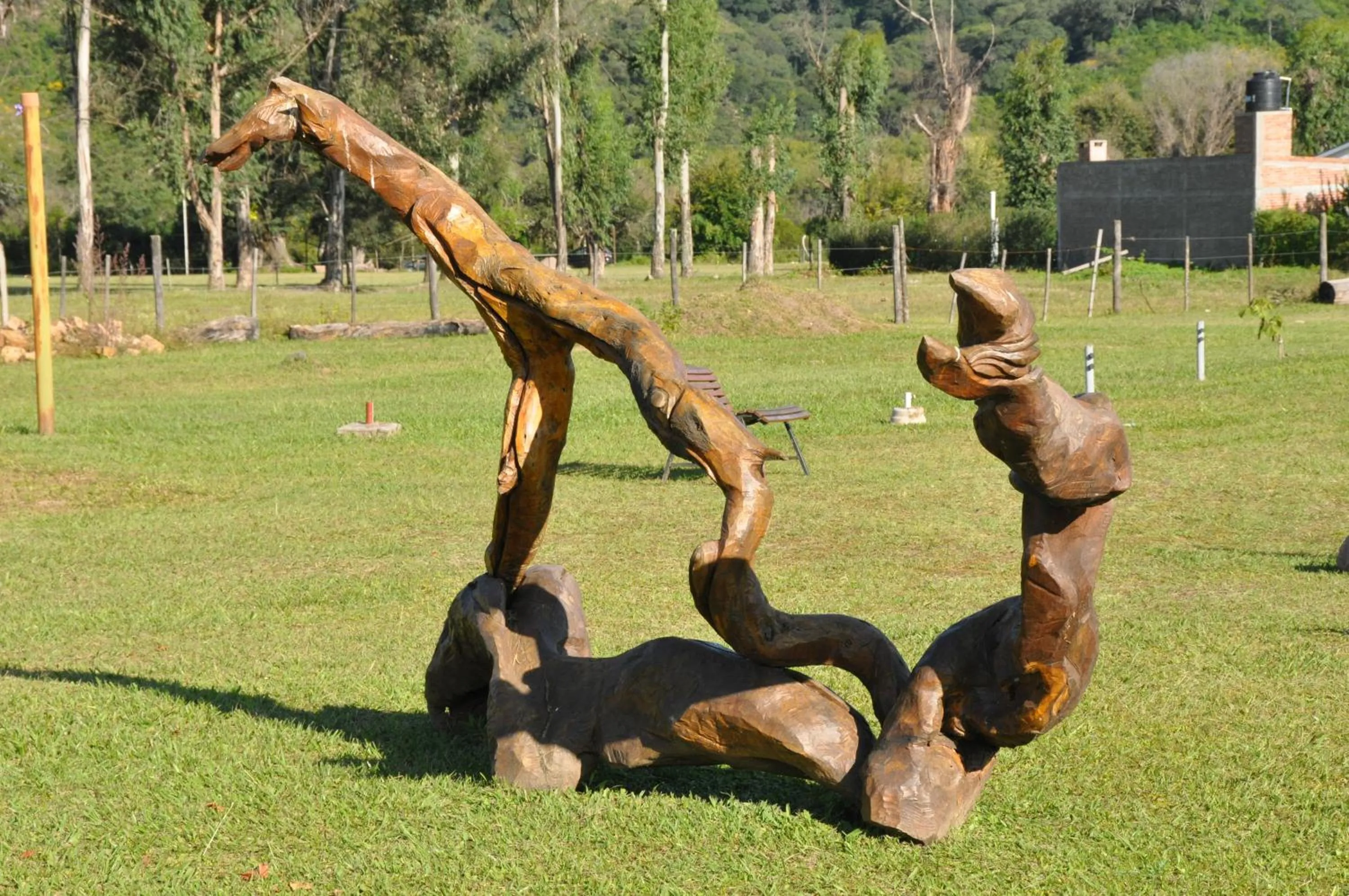 Garden in Hosteria La Caldera