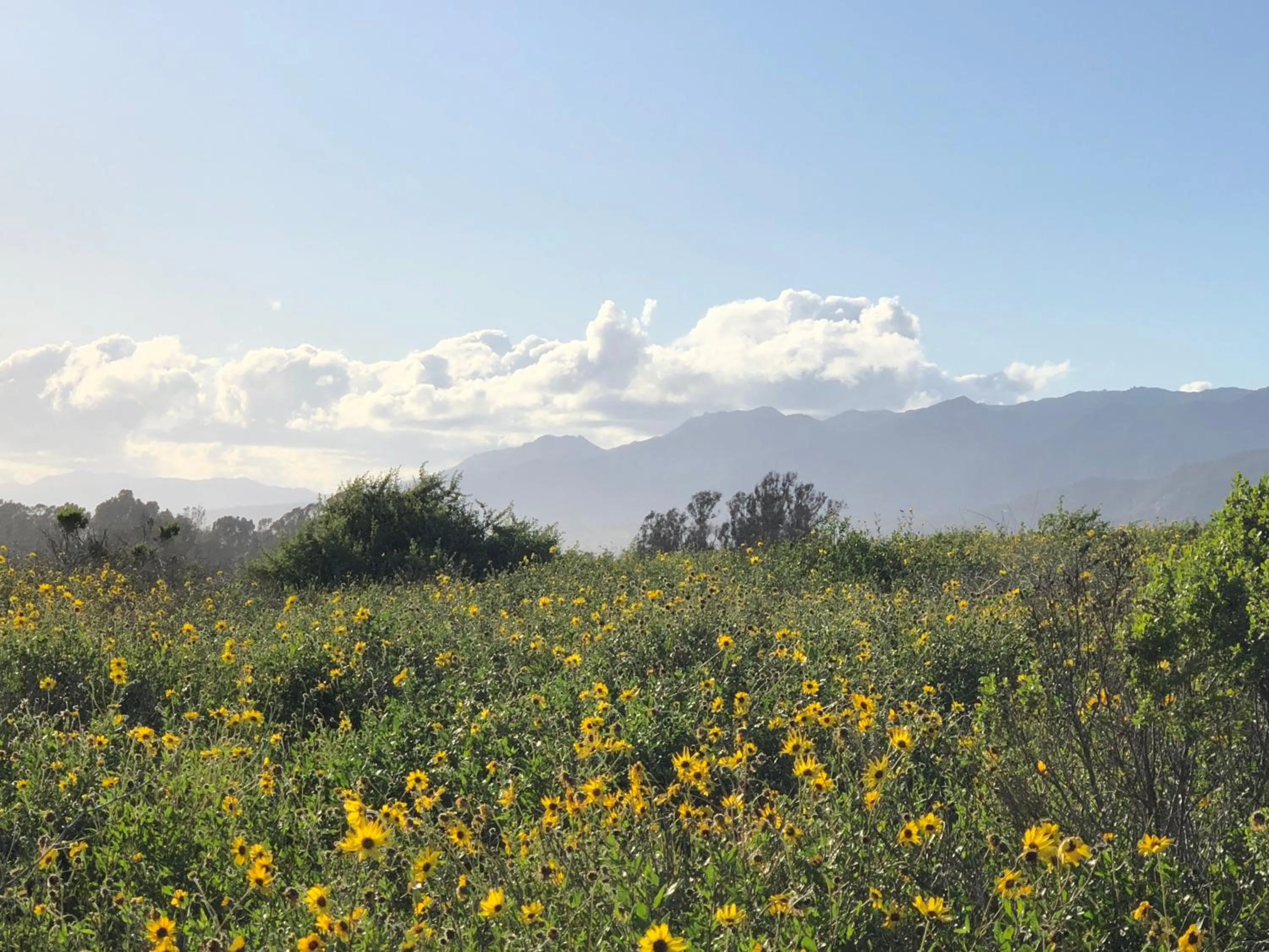 Natural landscape in Casa Del Sol