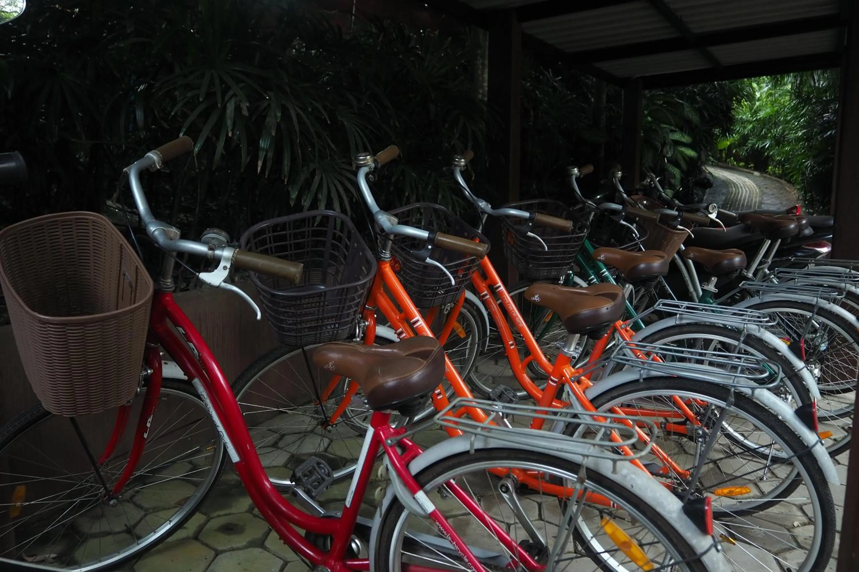 Cycling in Baanpong Lodge