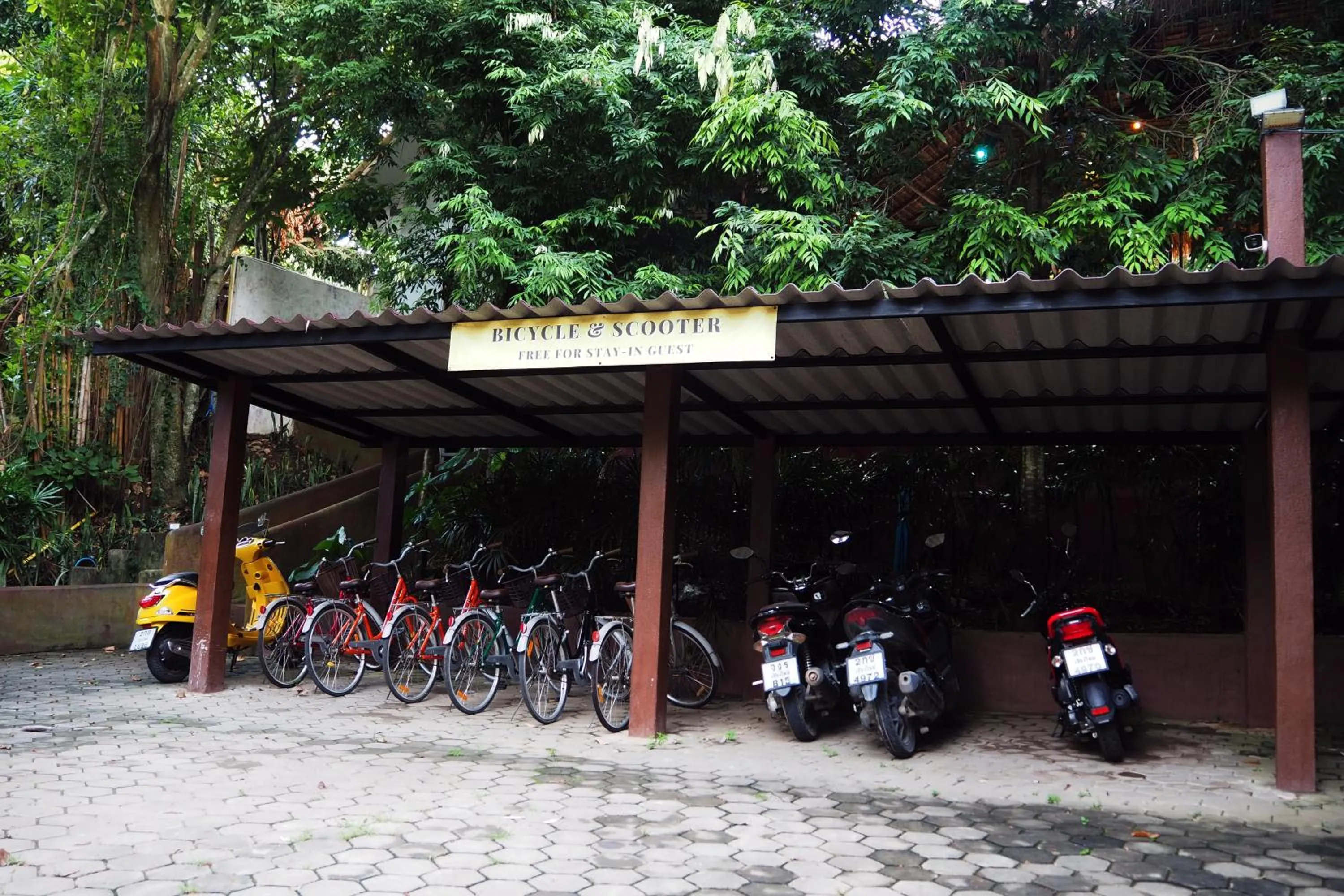 Cycling in Baanpong Lodge