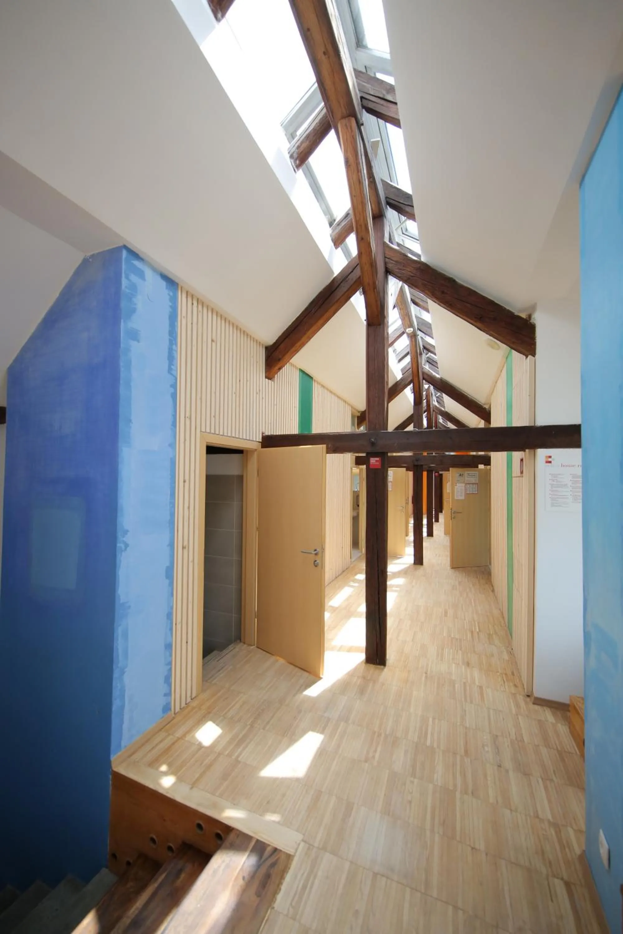 Area and facilities in Hostel Celica