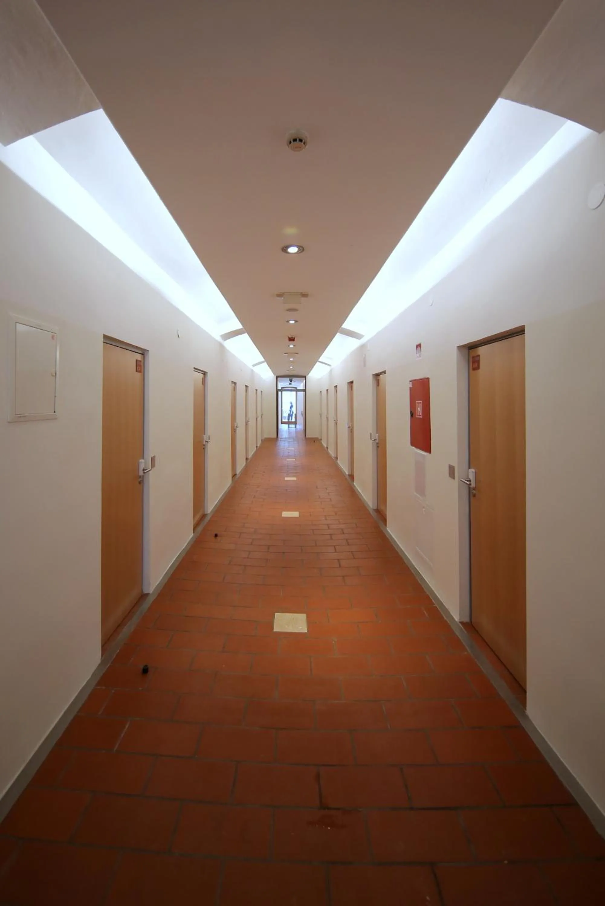 Area and facilities in Hostel Celica