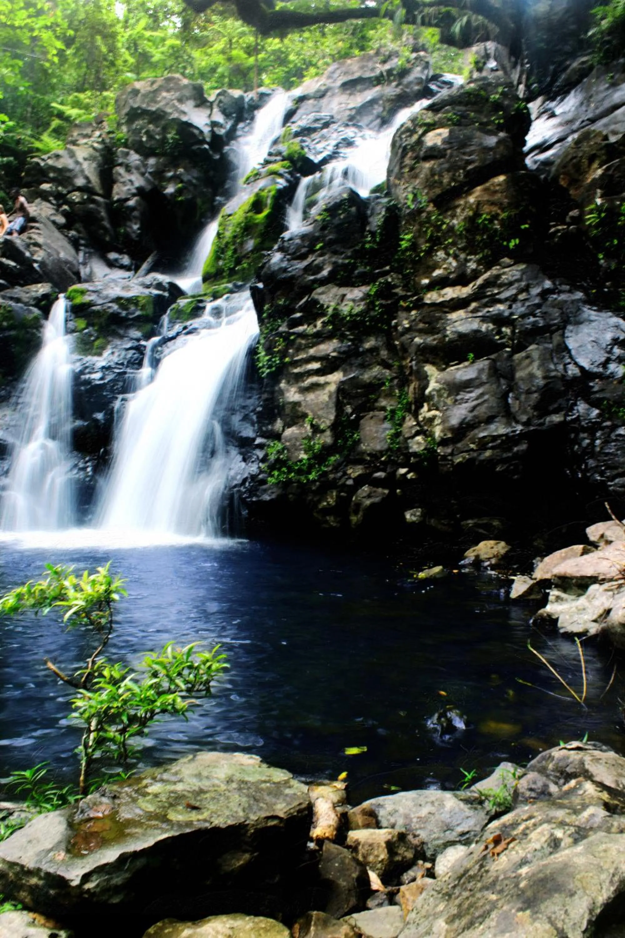 Area and facilities in Maravu Taveuni Lodge