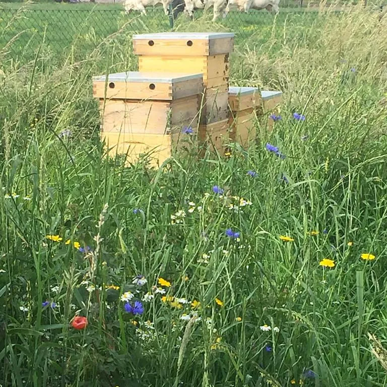 Property building in B&B Gitsdal