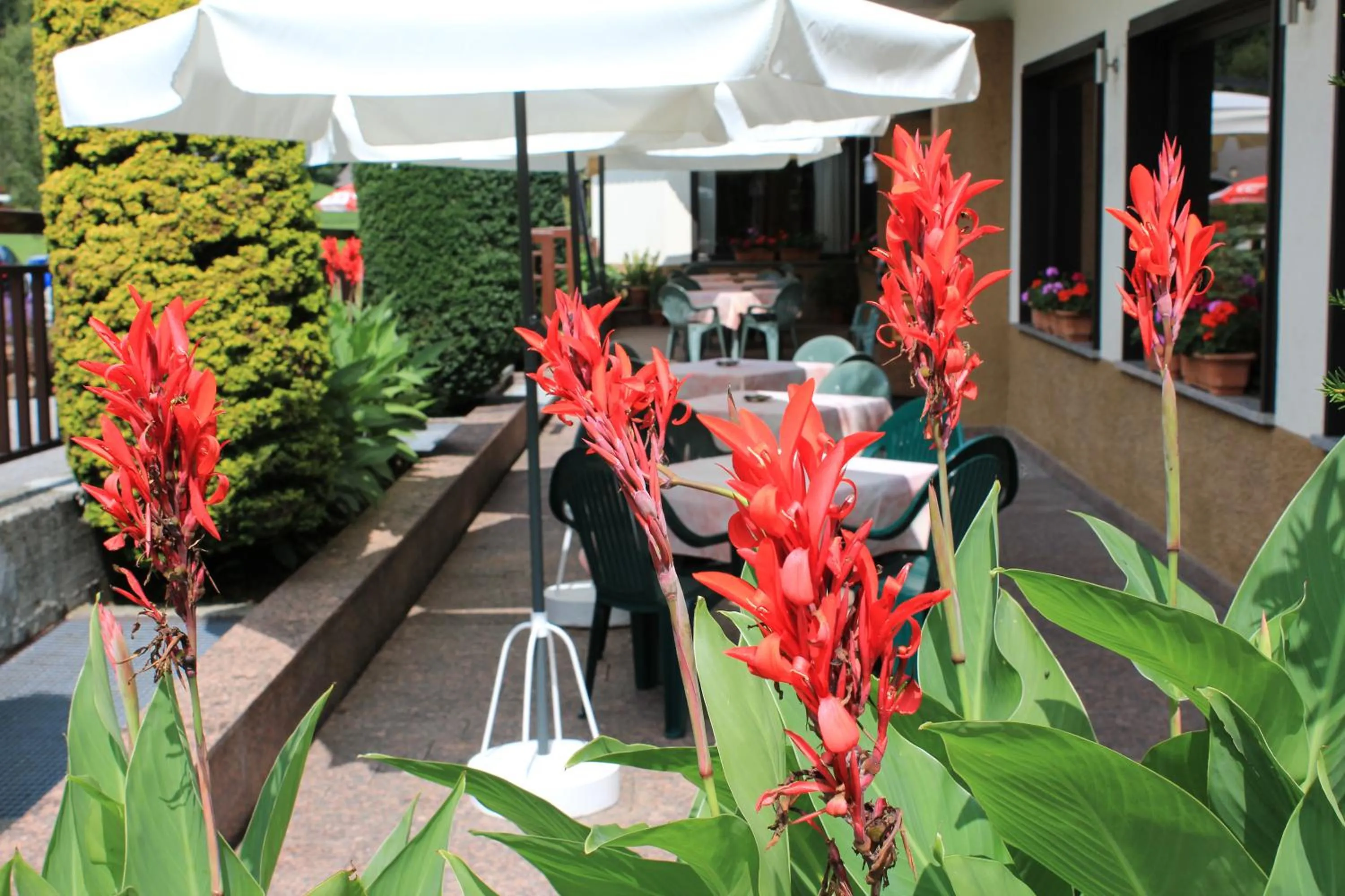 Balcony/Terrace in Hotel Rio