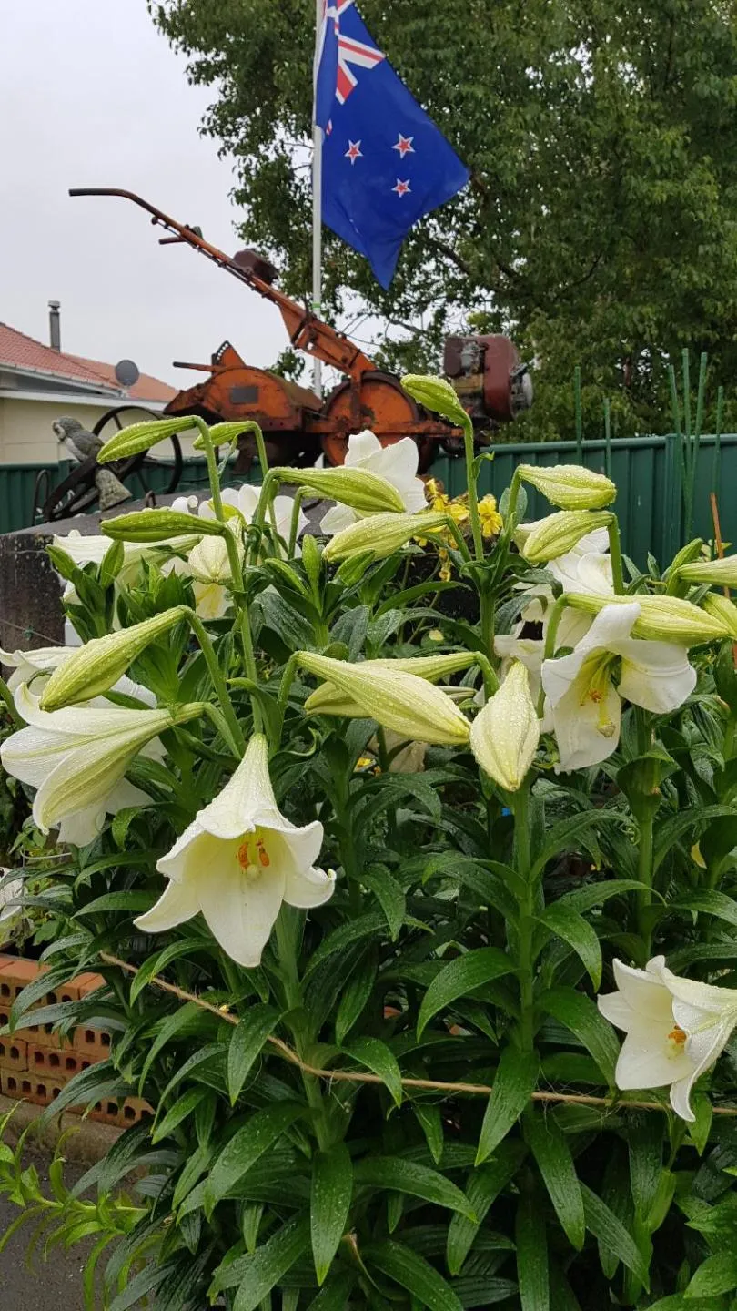 Other in 113 On Park