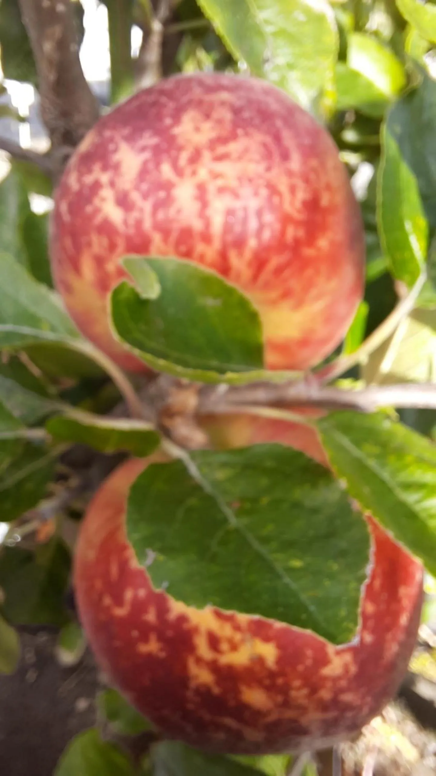 Food and drinks in 113 On Park