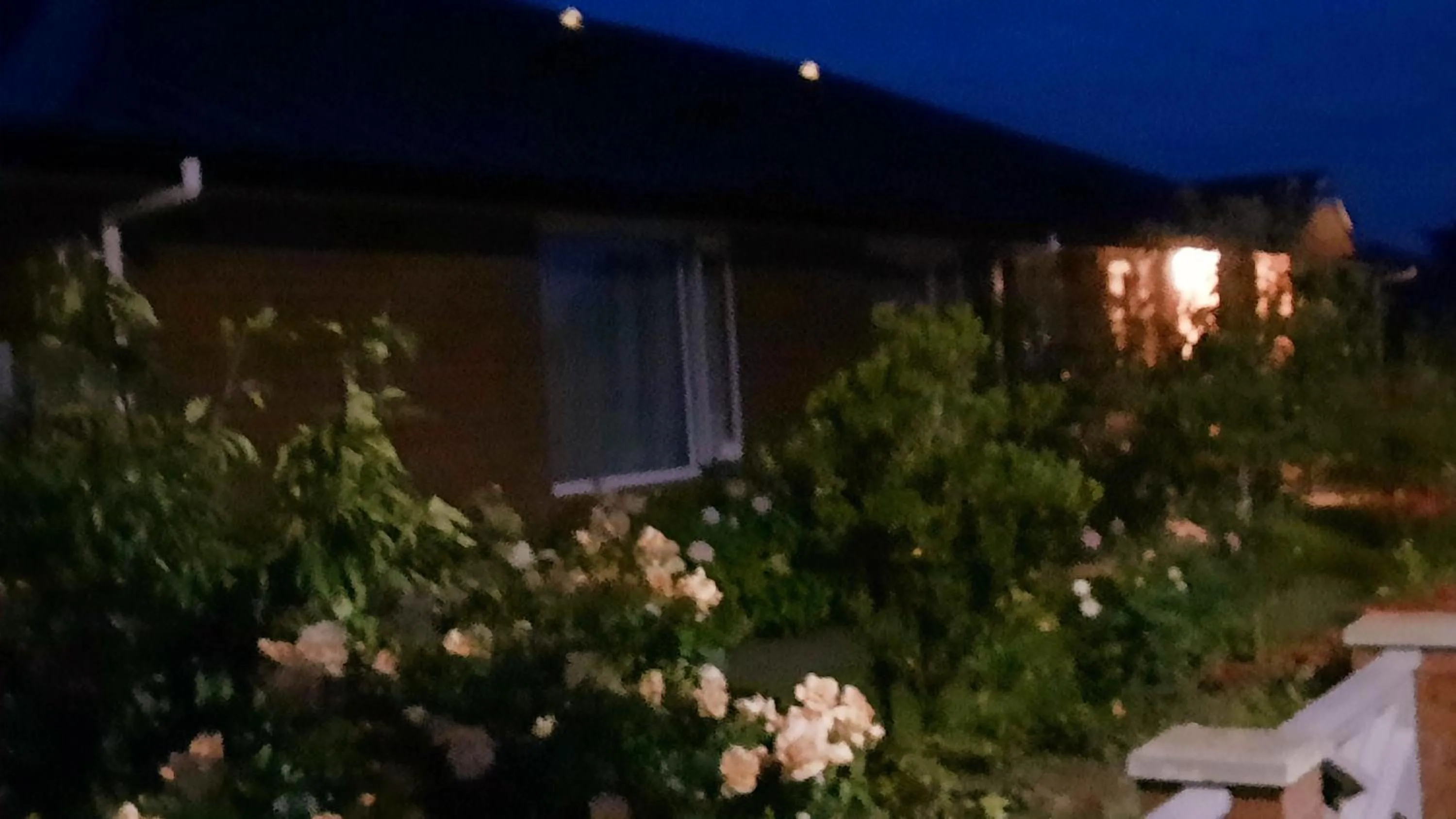 Property building in 113 On Park