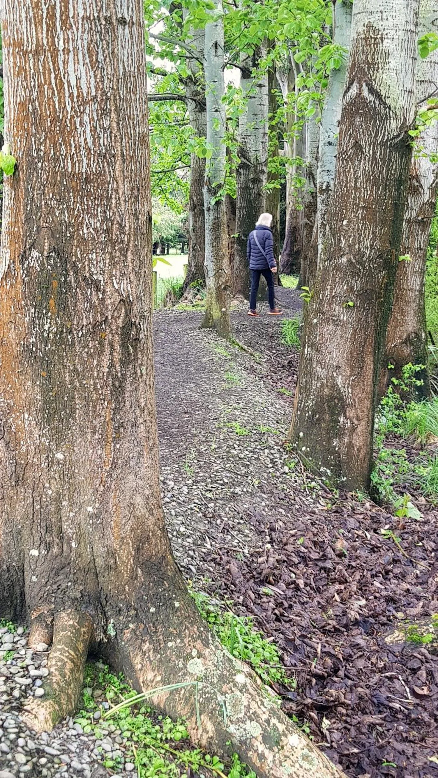 Activities in 113 On Park