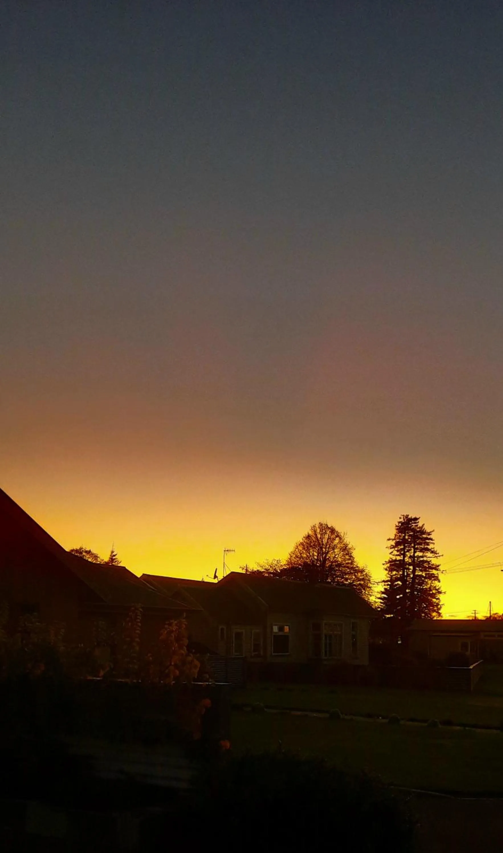 Sunrise in 113 On Park