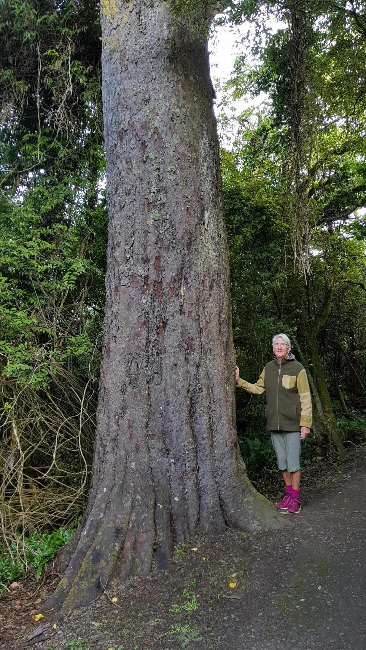 Hiking in 113 On Park