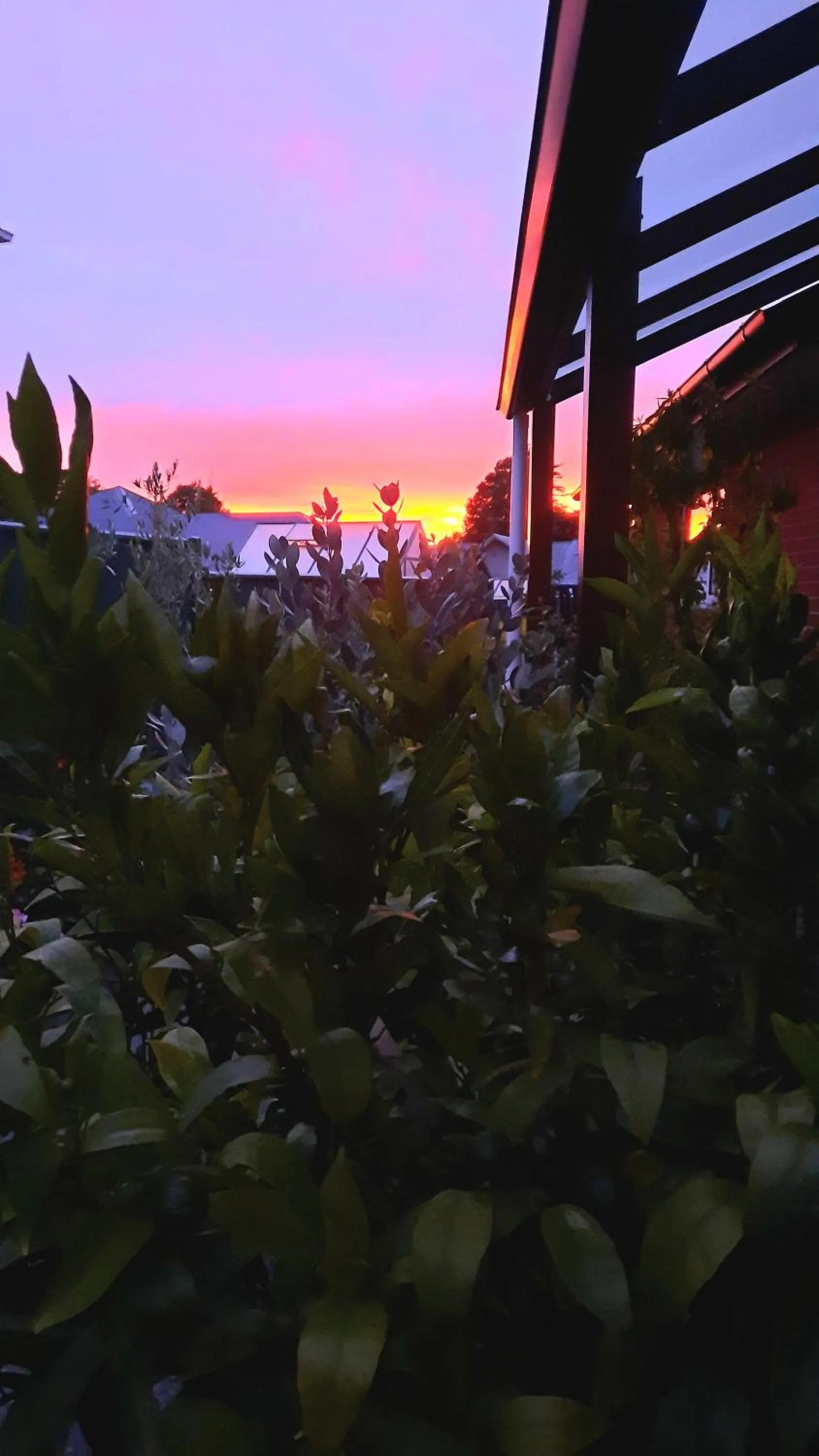 Sunrise in 113 On Park