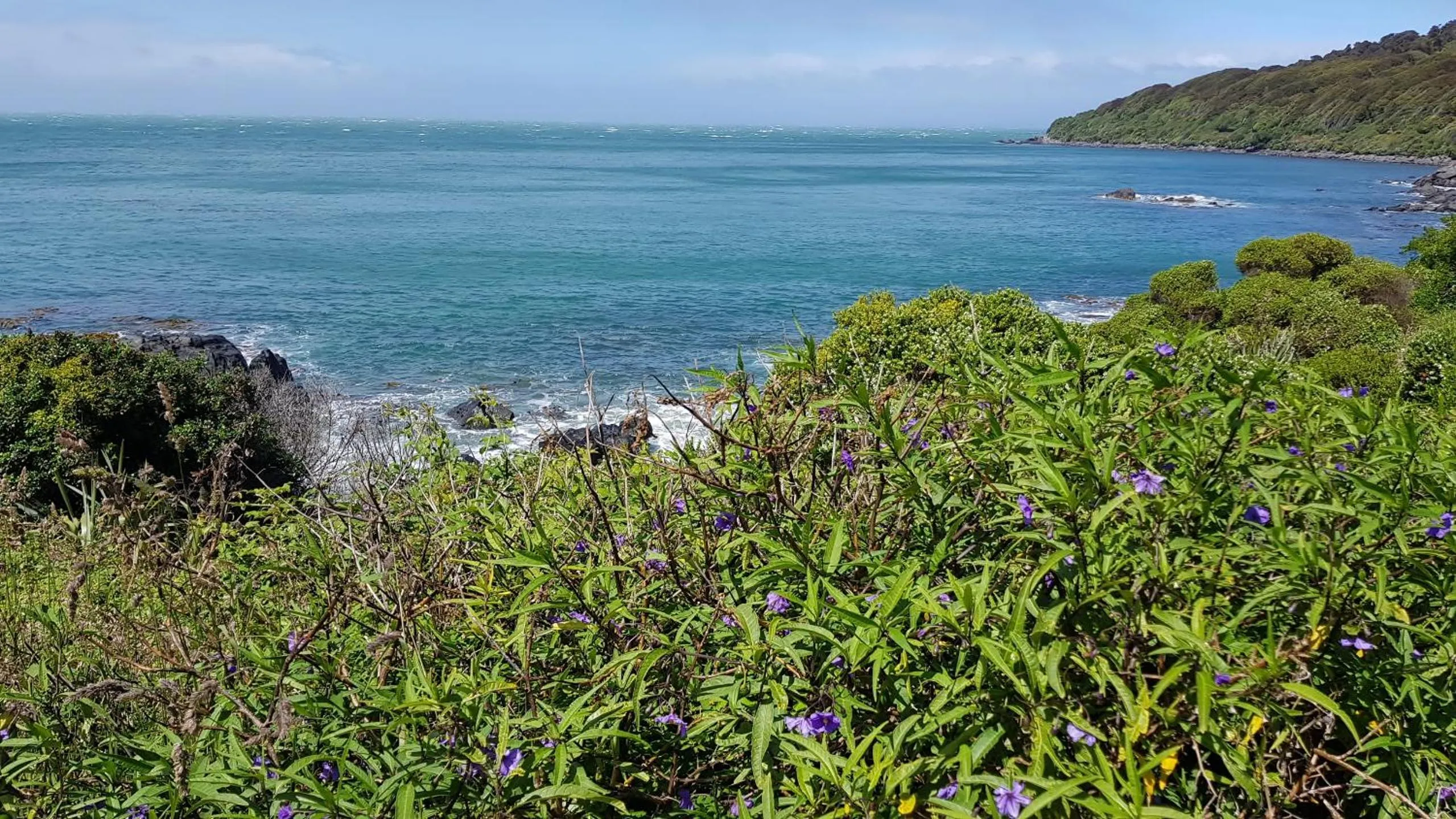 Off site in 113 On Park