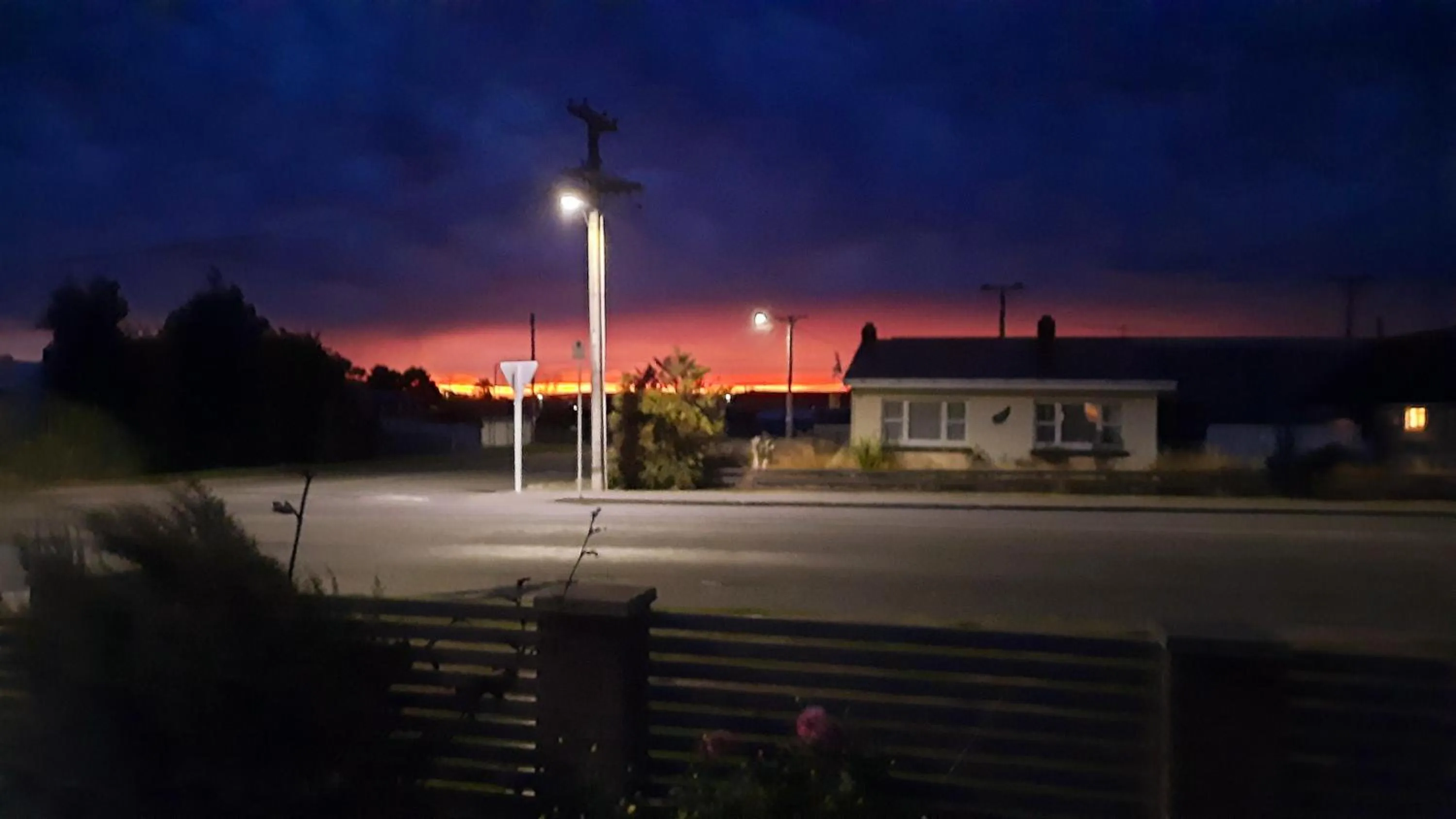 Night in 113 On Park