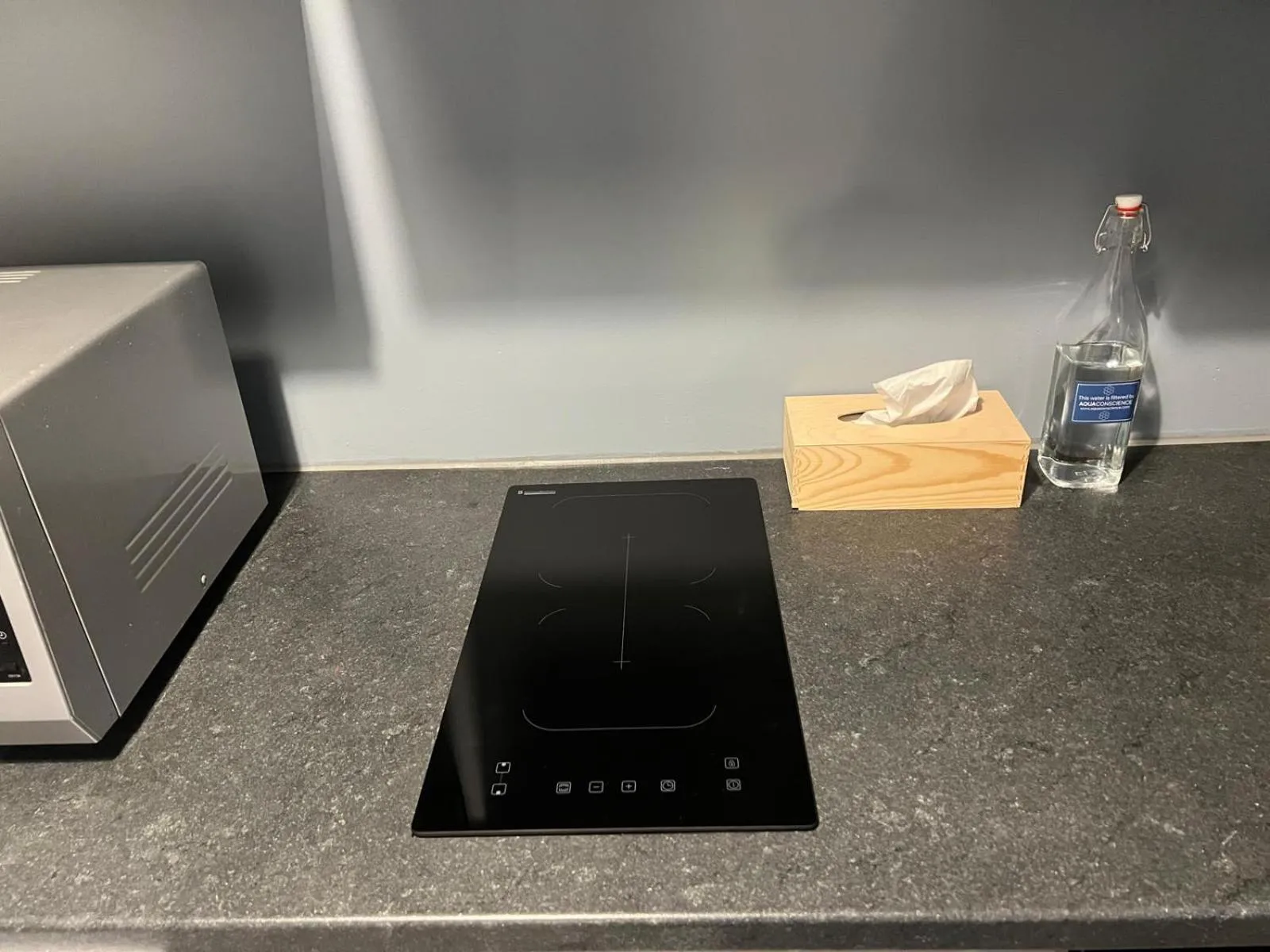 Kitchen or kitchenette in Because the Night city lodge