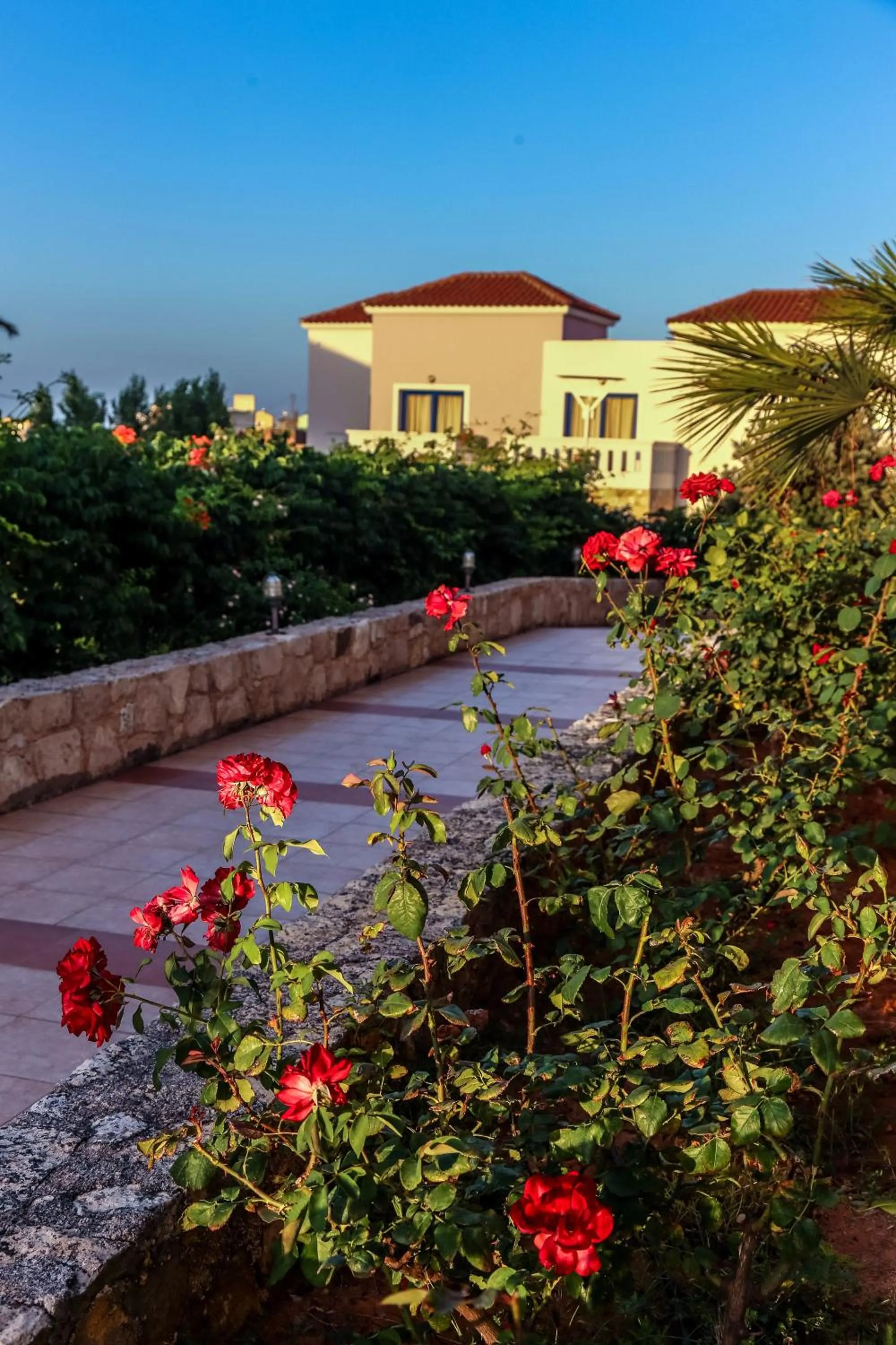 Natural landscape in Adelais Hotel