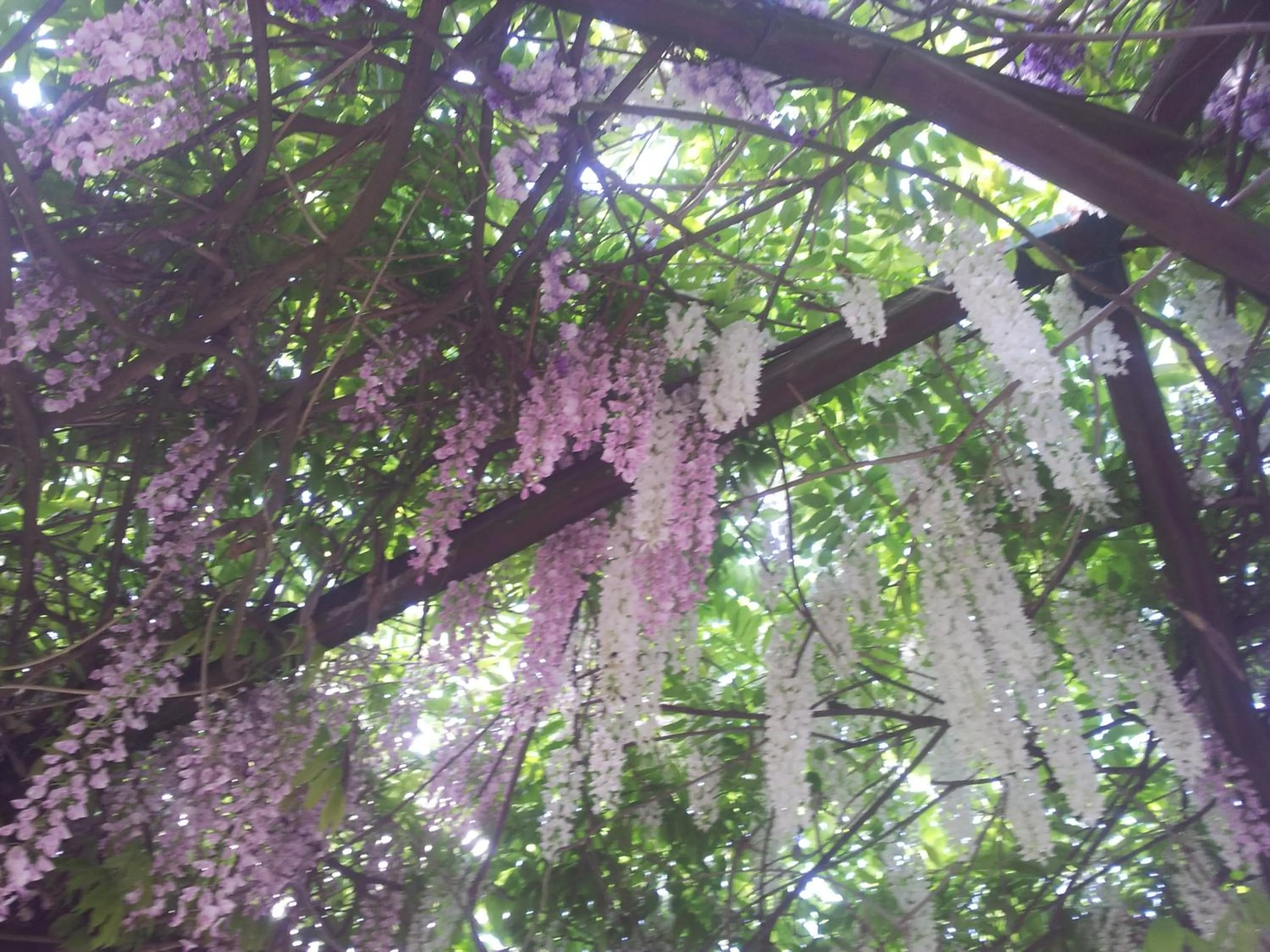 Spring in B&B Il Pioppo E La Fonte