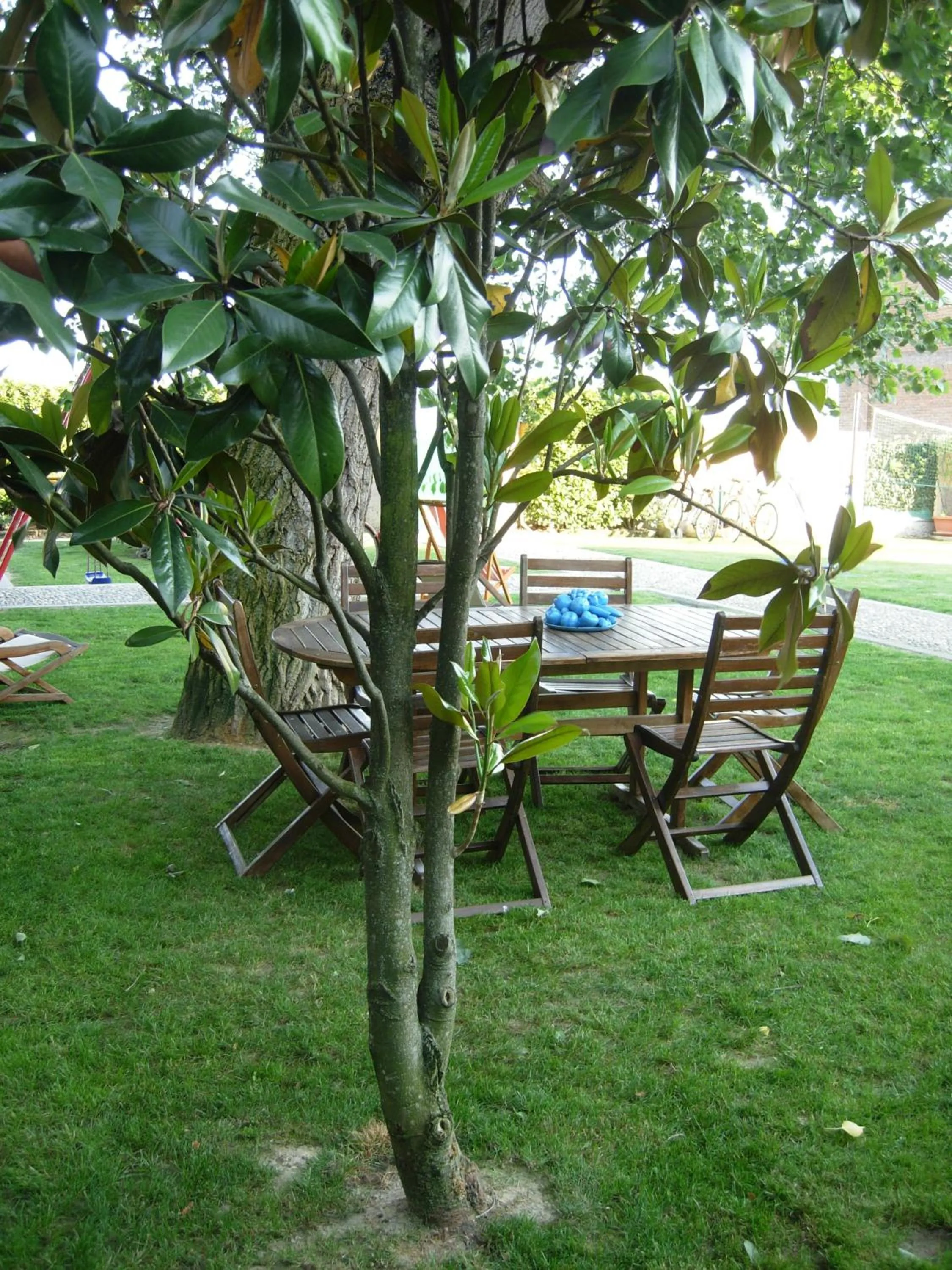 Garden in B&B Il Pioppo E La Fonte